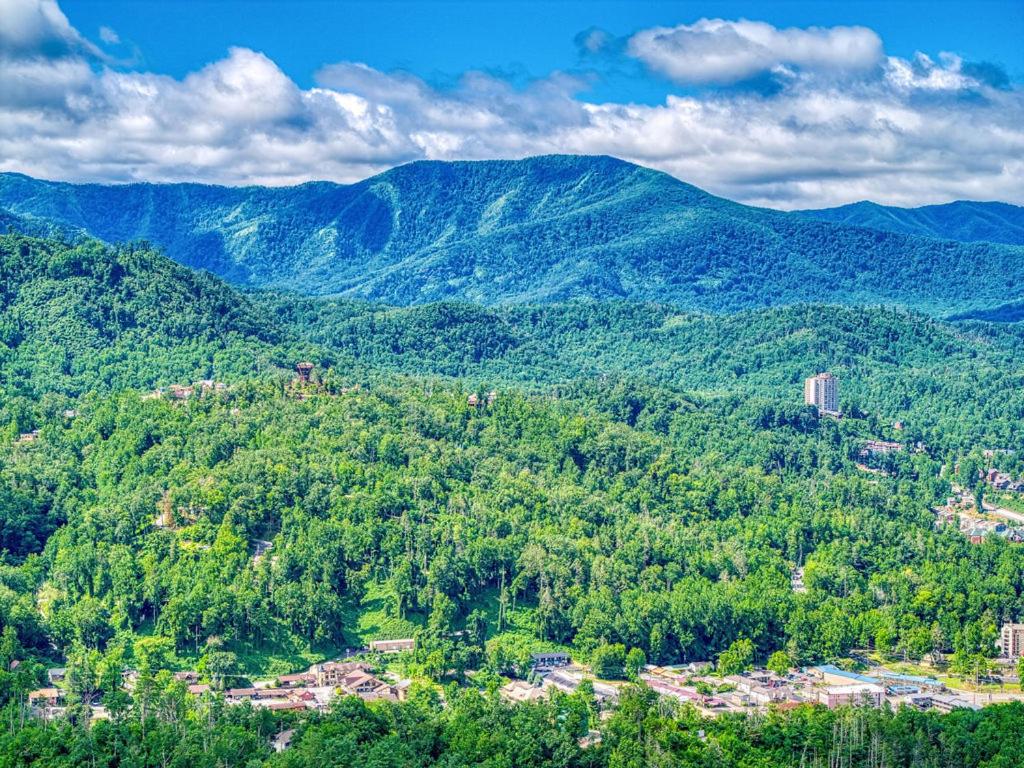 Great Smoky View, Panoramic View, FREE tickets for each paid day, Hot Tub, WIFI!!!