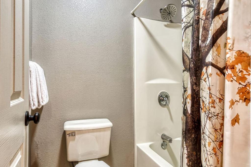 Great Smoky View, Panoramic View, FREE tickets for each paid day, Hot Tub, WIFI!!!