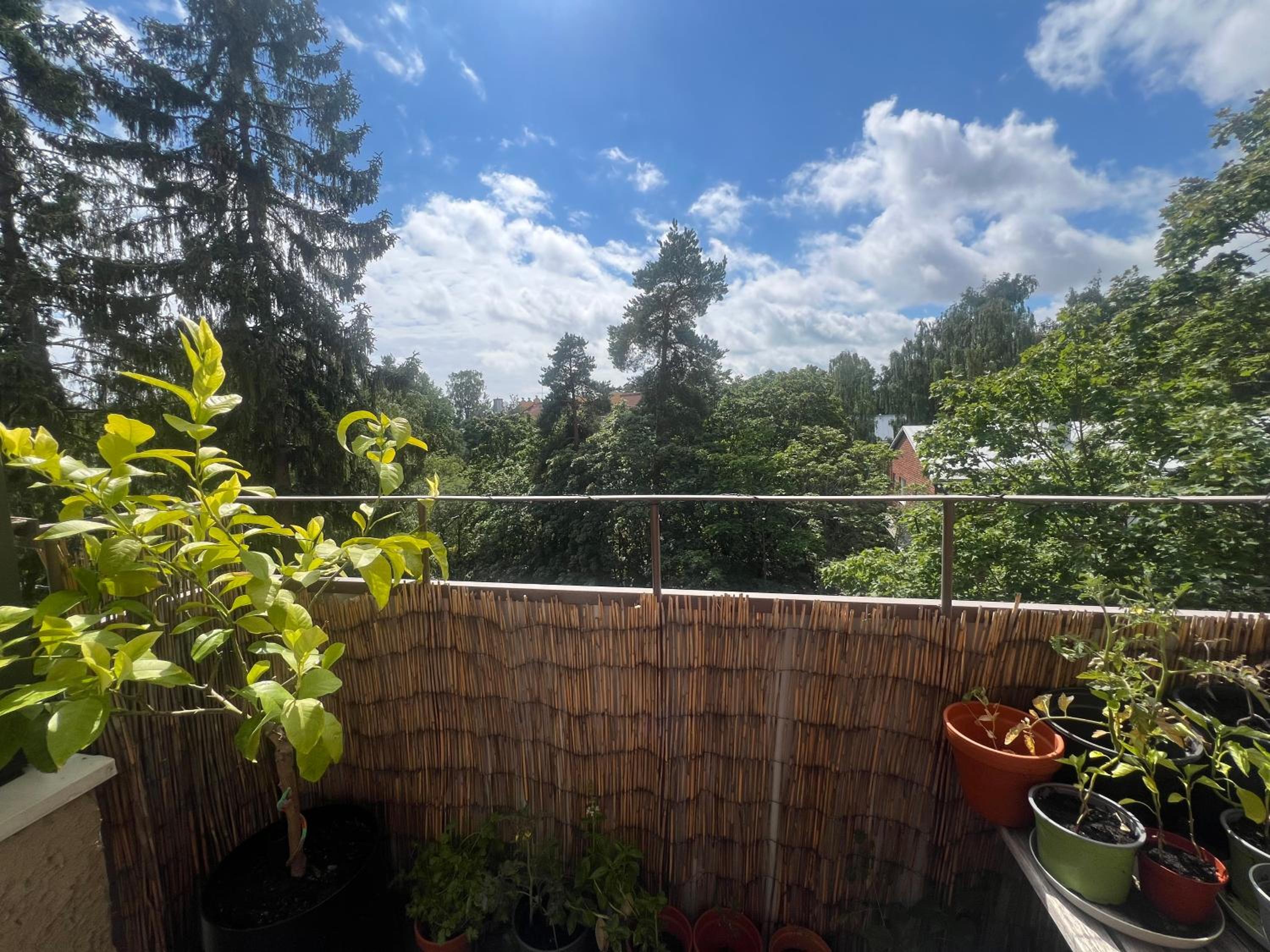 Cozy well connected - family apartment