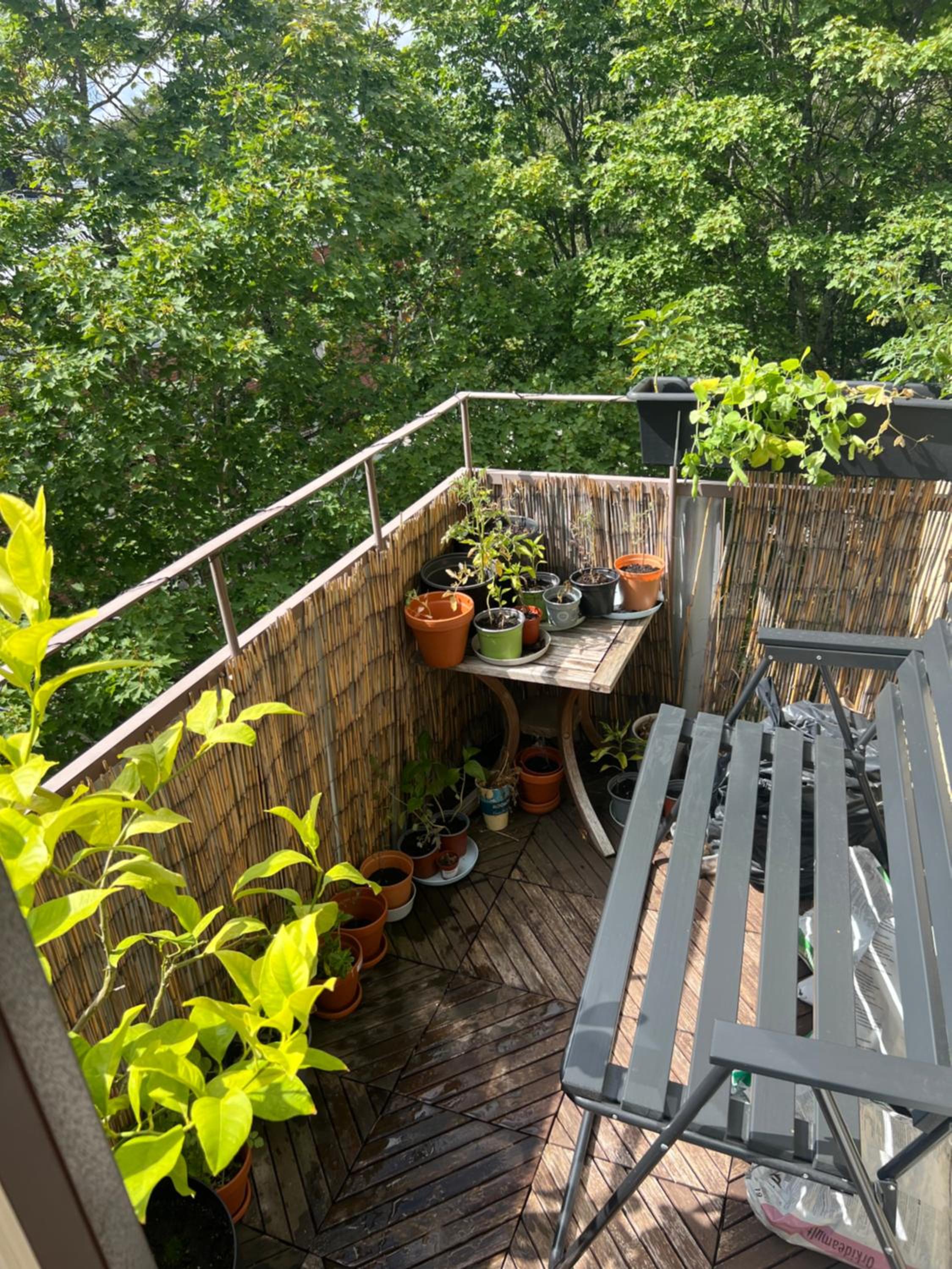 Cozy well connected - family apartment