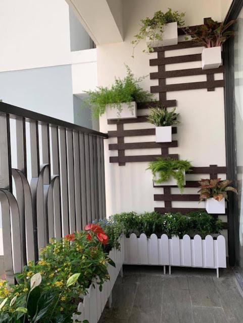 Bảo Anh Homestay view 2
