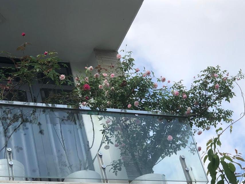Bảo Anh Homestay view 3