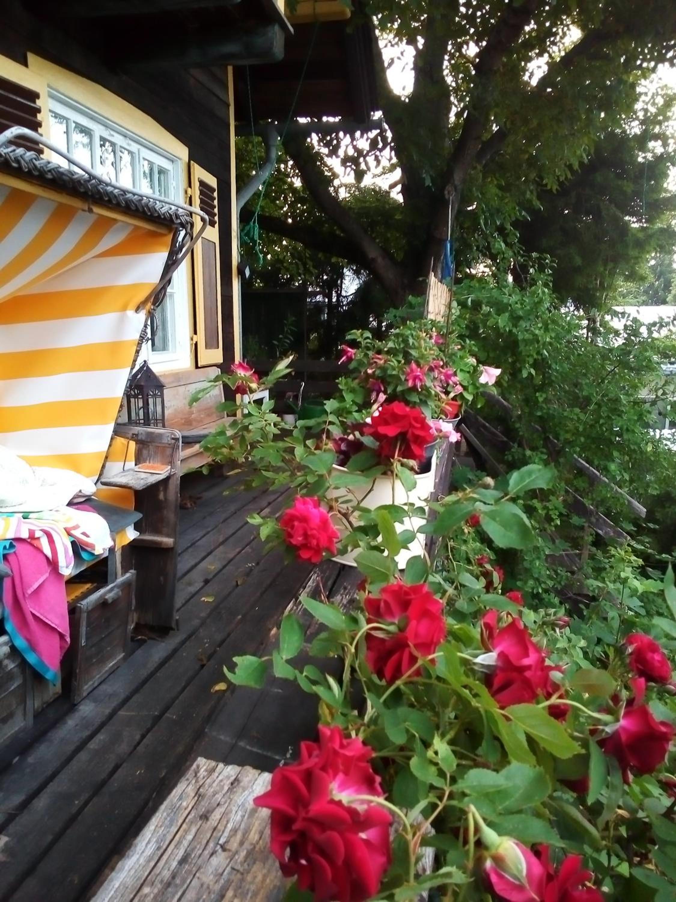 Ferienwohnung am Walnussbaum