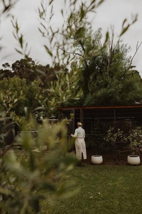 Herrings House, an iconic designer nature retreat