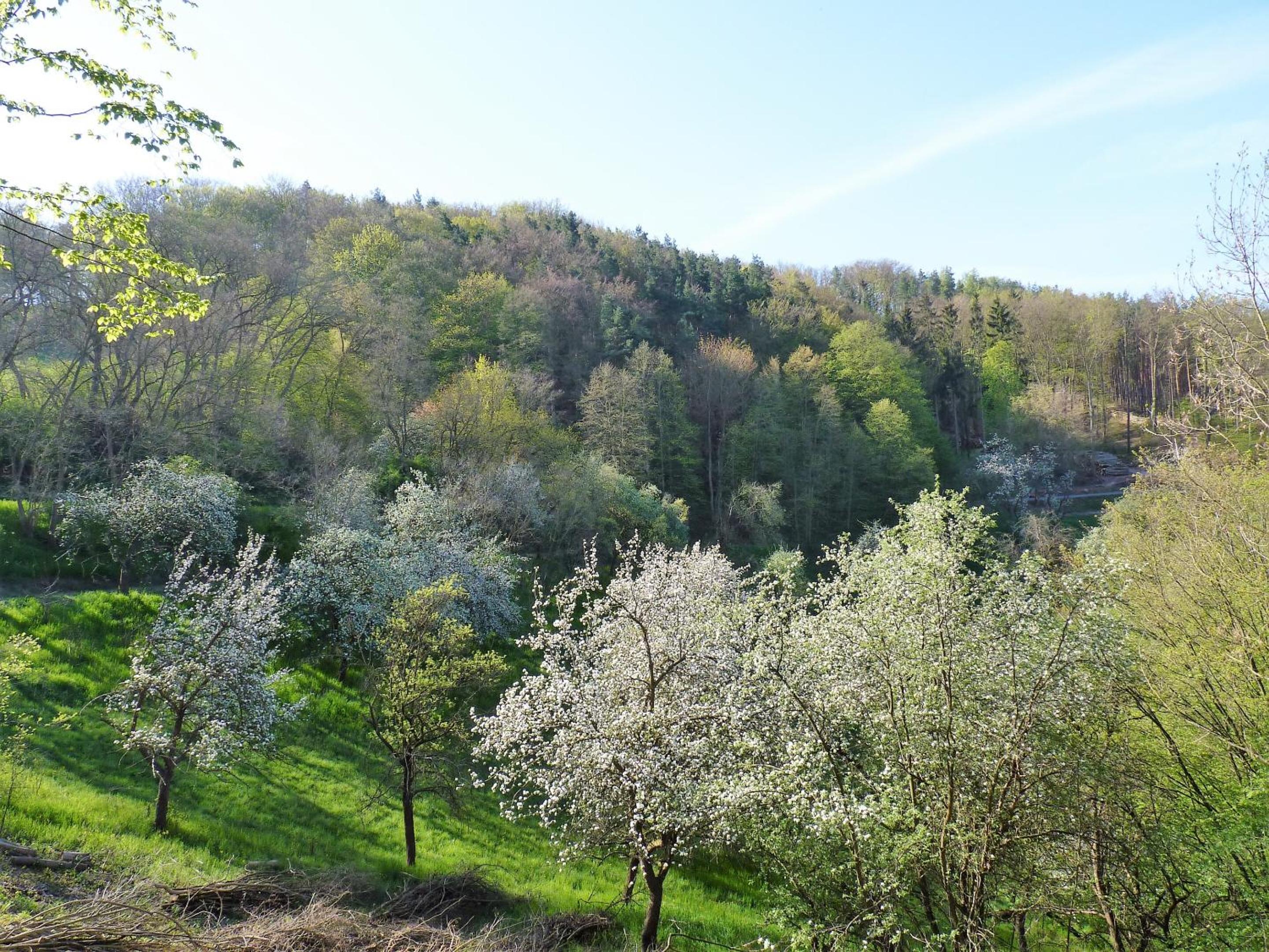Eventlocation Mieten und Übernachten im Schloss nähe 07407 Rudolstadt