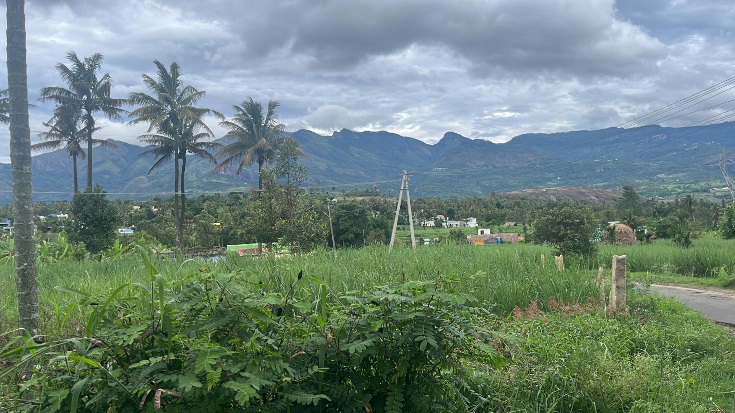 Chaithanya Illam