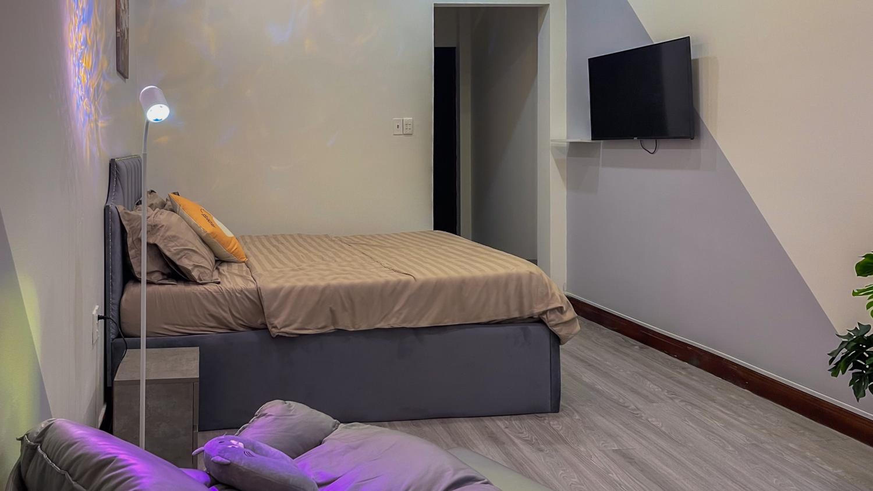Aesthetic homes