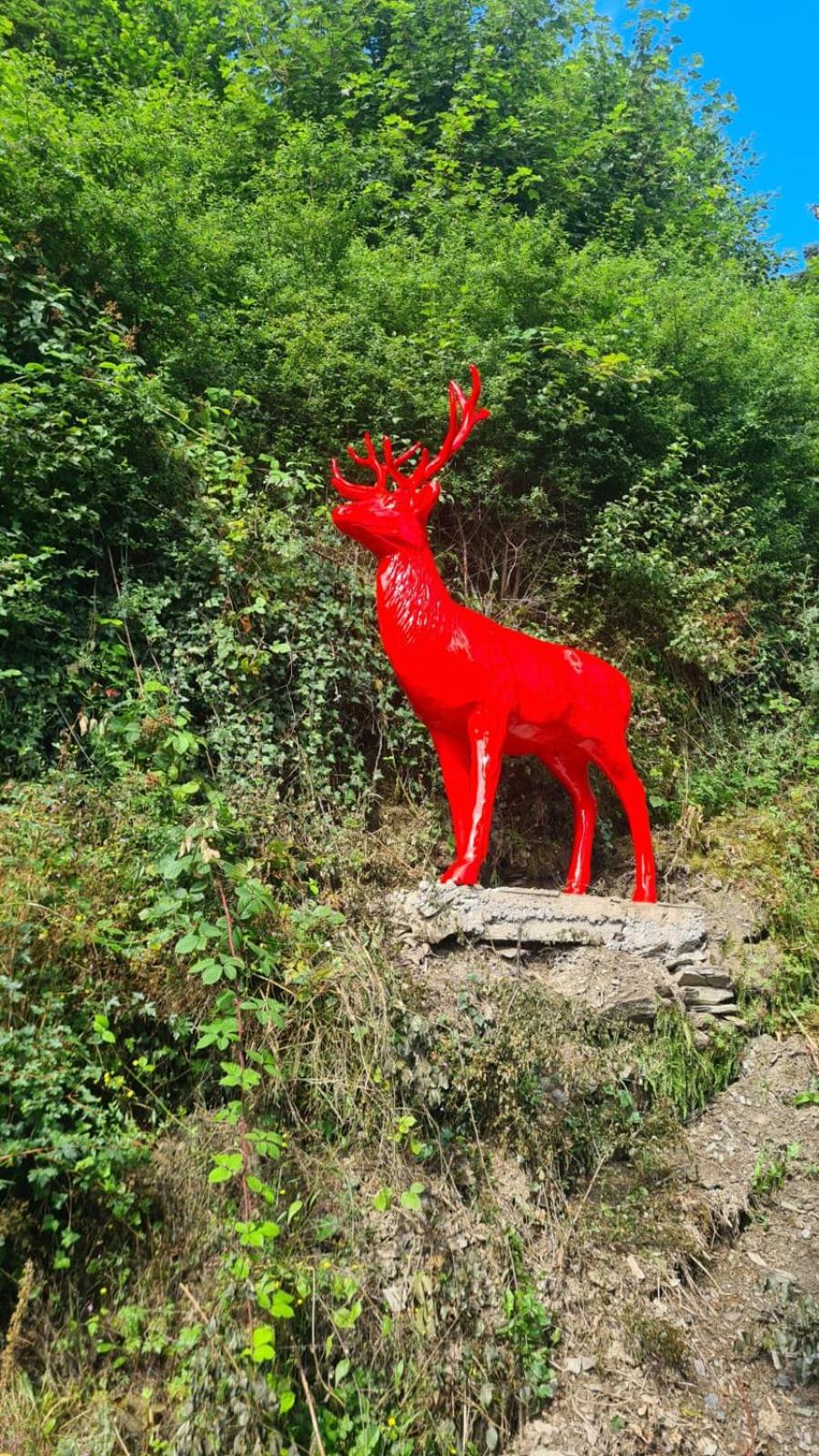Maxi-Appartement zum gechillten Hirsch OG Traben-Trarbach