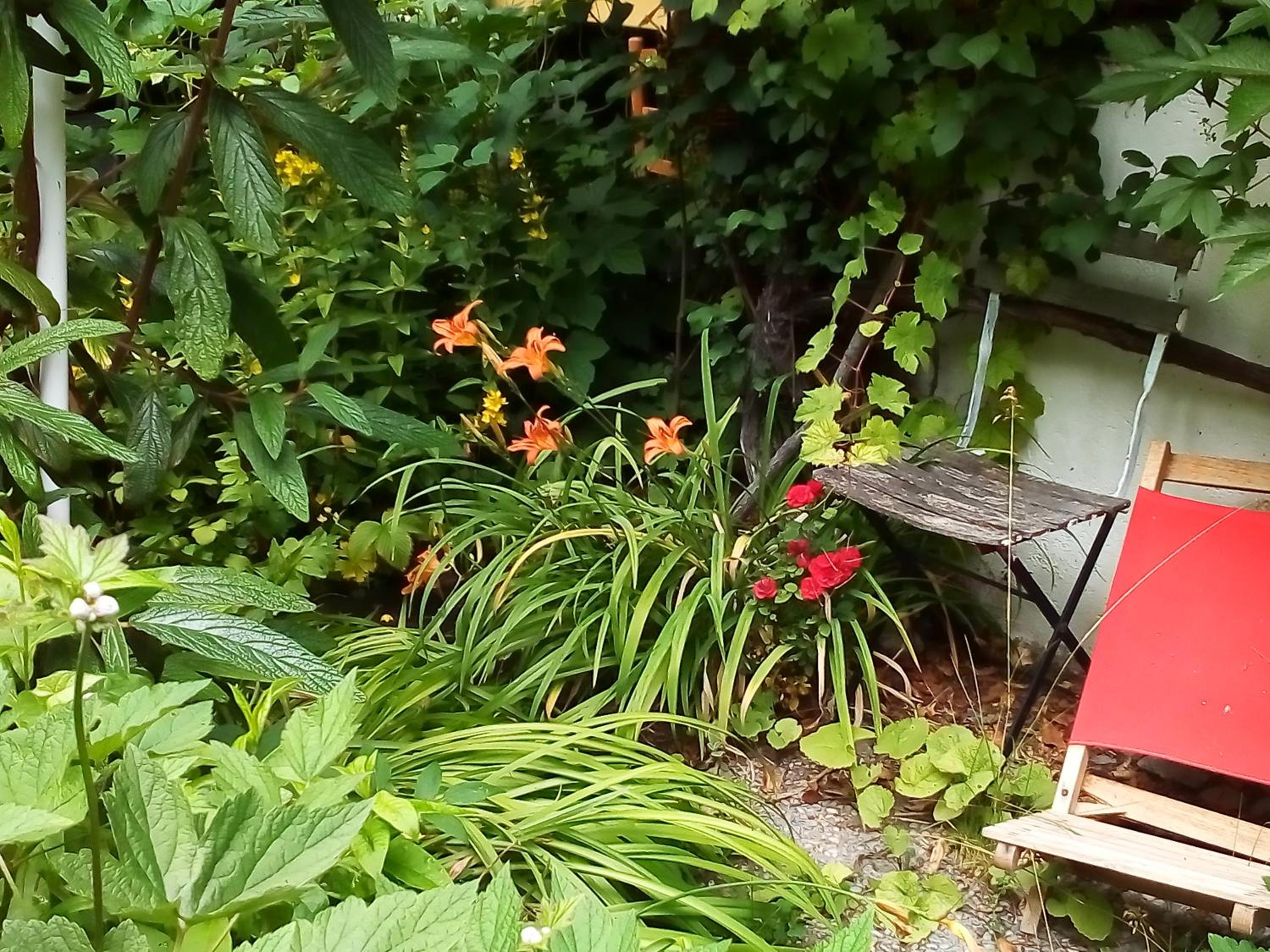 Ferienwohnung am Walnussbaum
