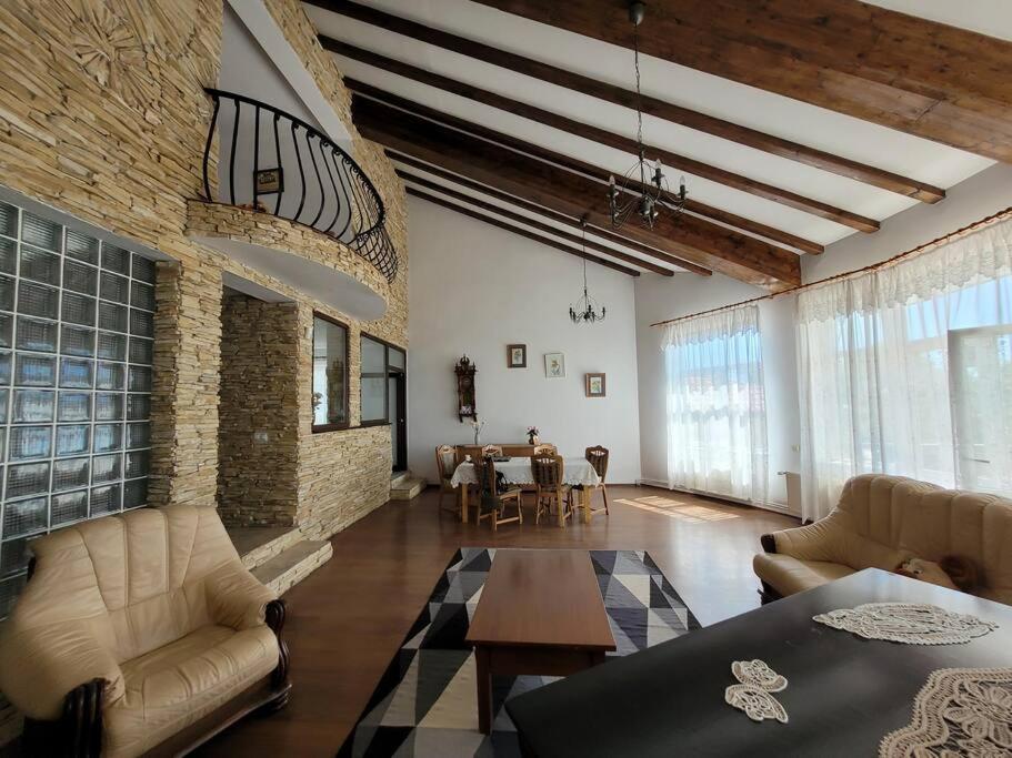 Casa Ioanei view 2