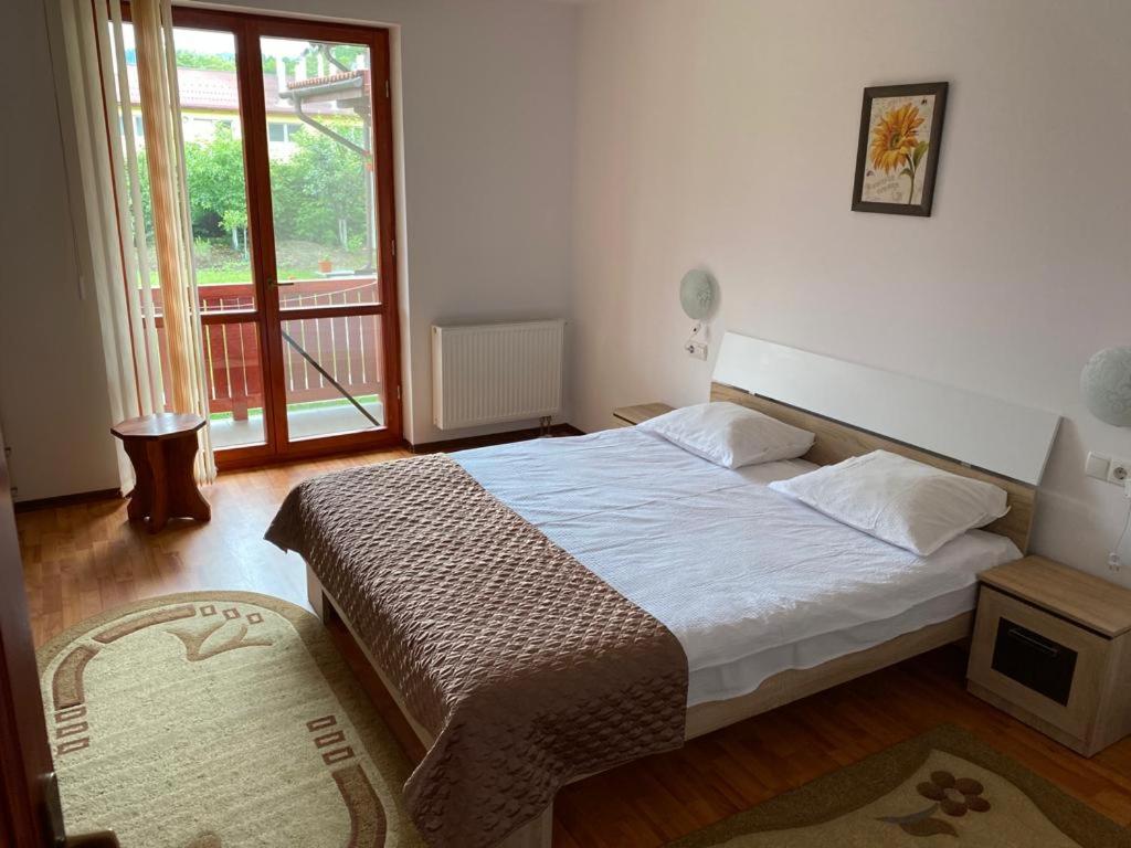 CASA Dana view 5