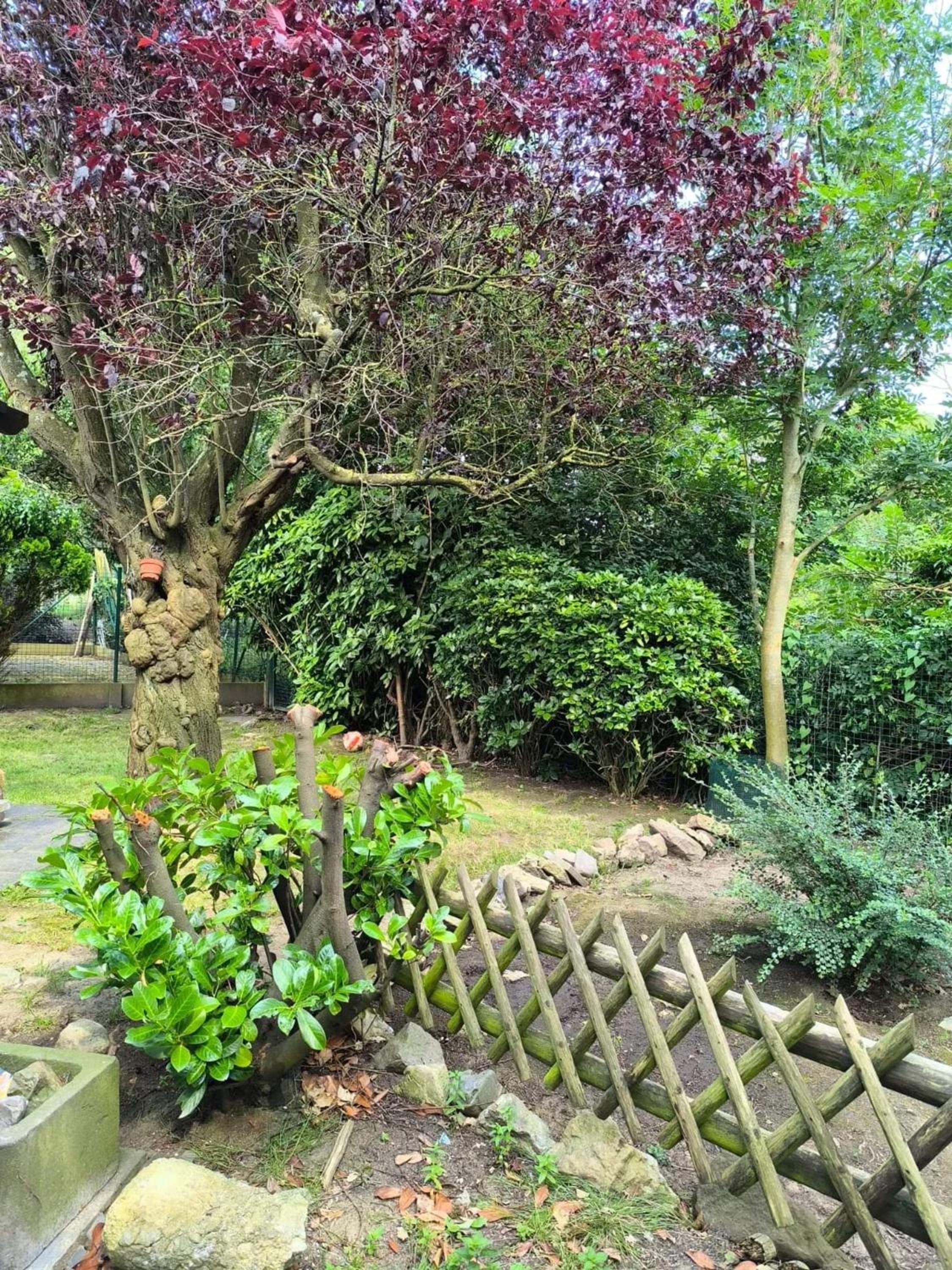 Charming house in Hoegaarden with BBQ and garden