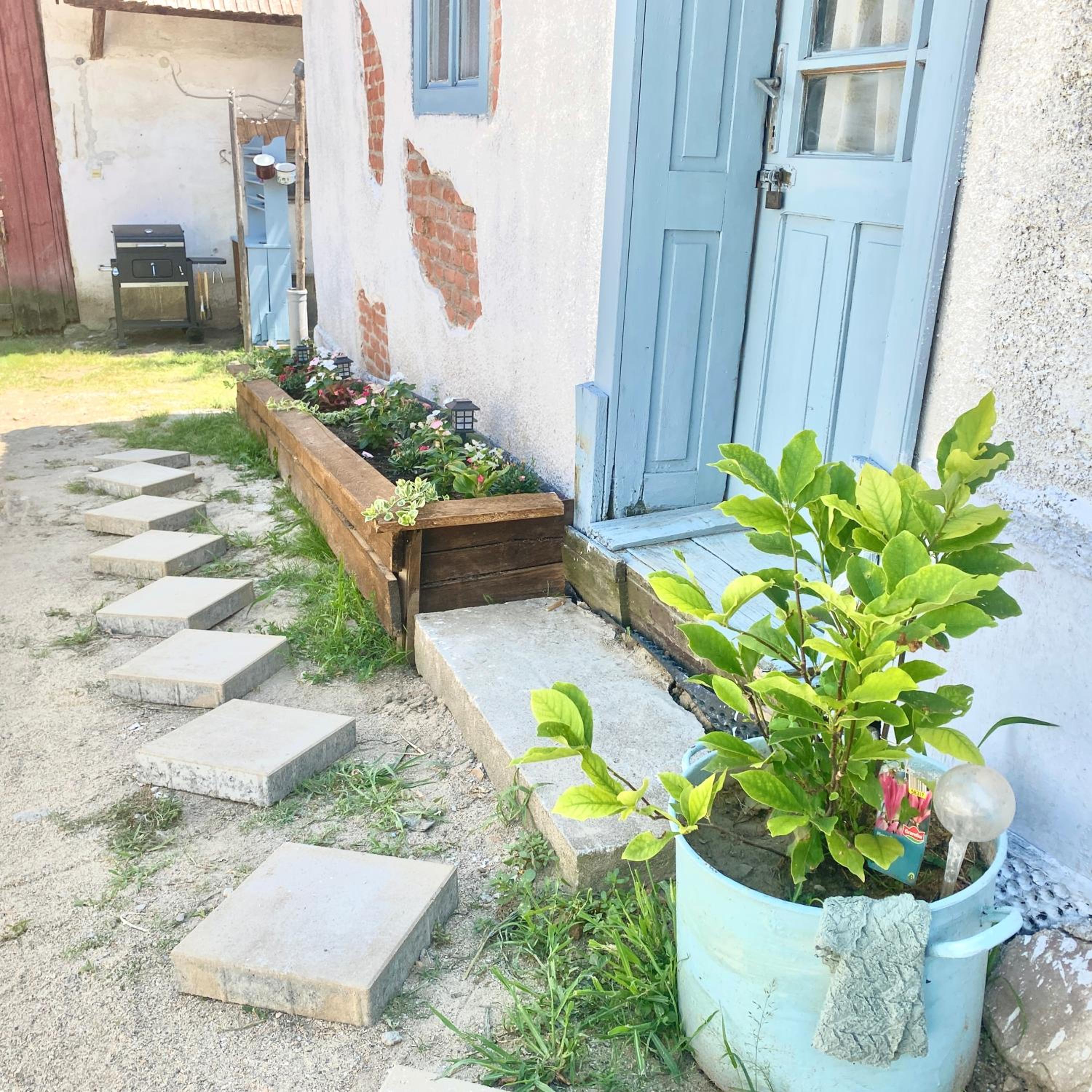 Photo 19