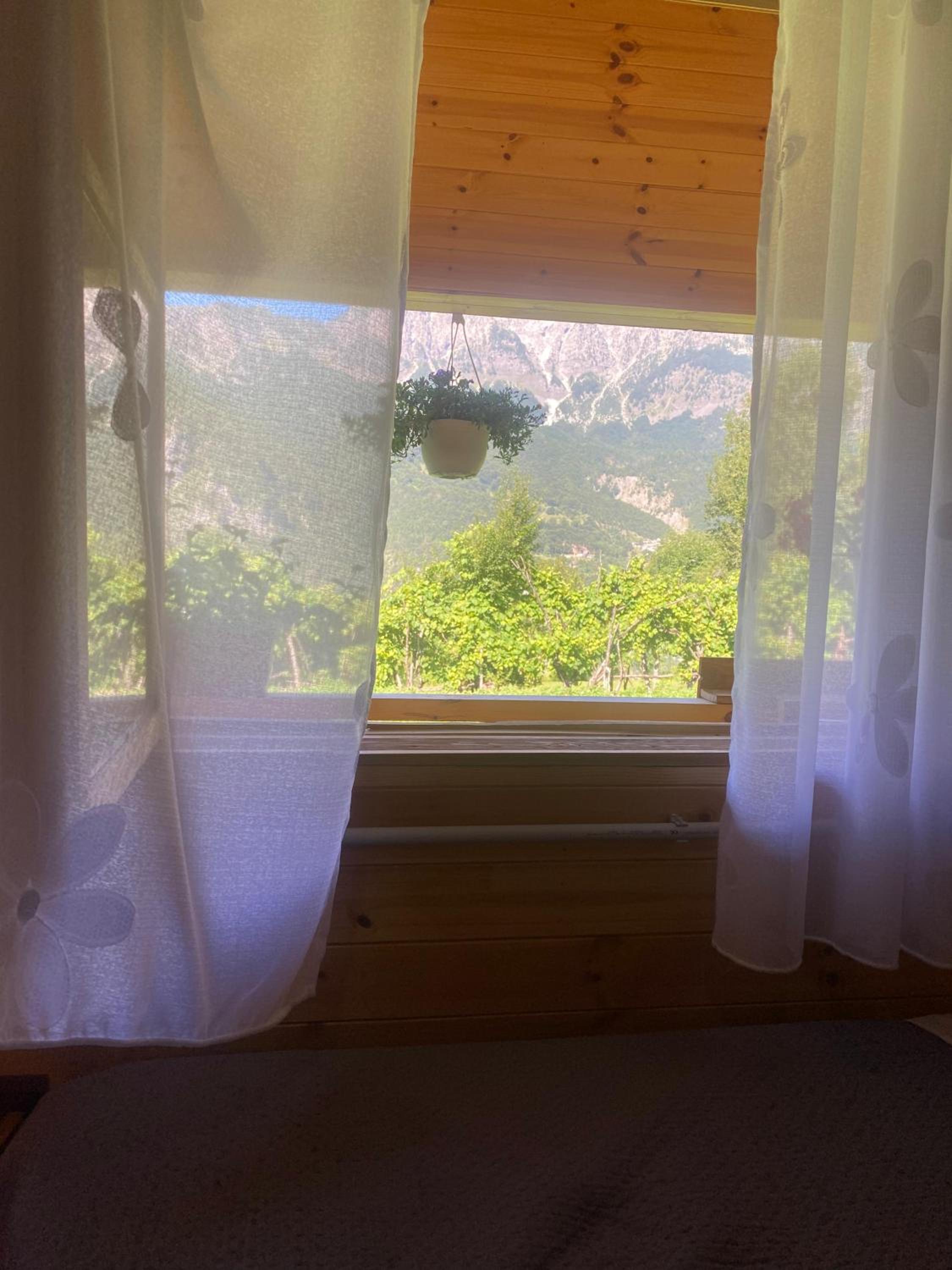 Bujtina Shkambi photo 4