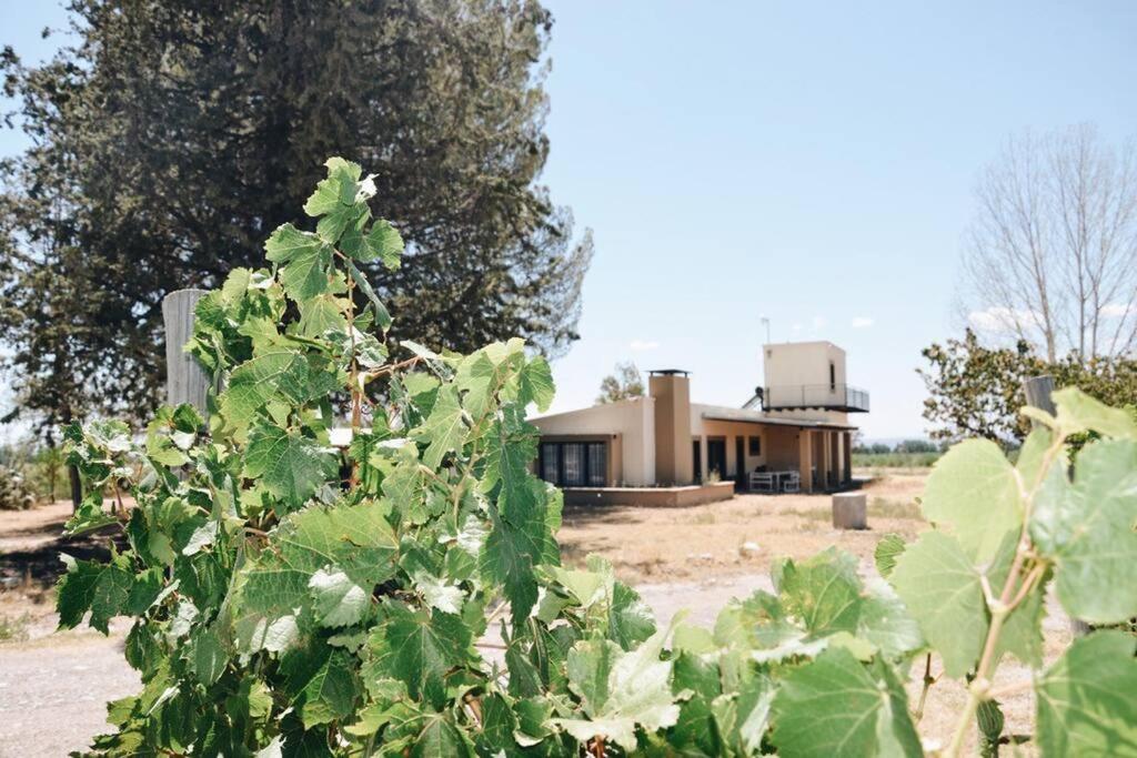 Casa entre viñas, Valle de Uco