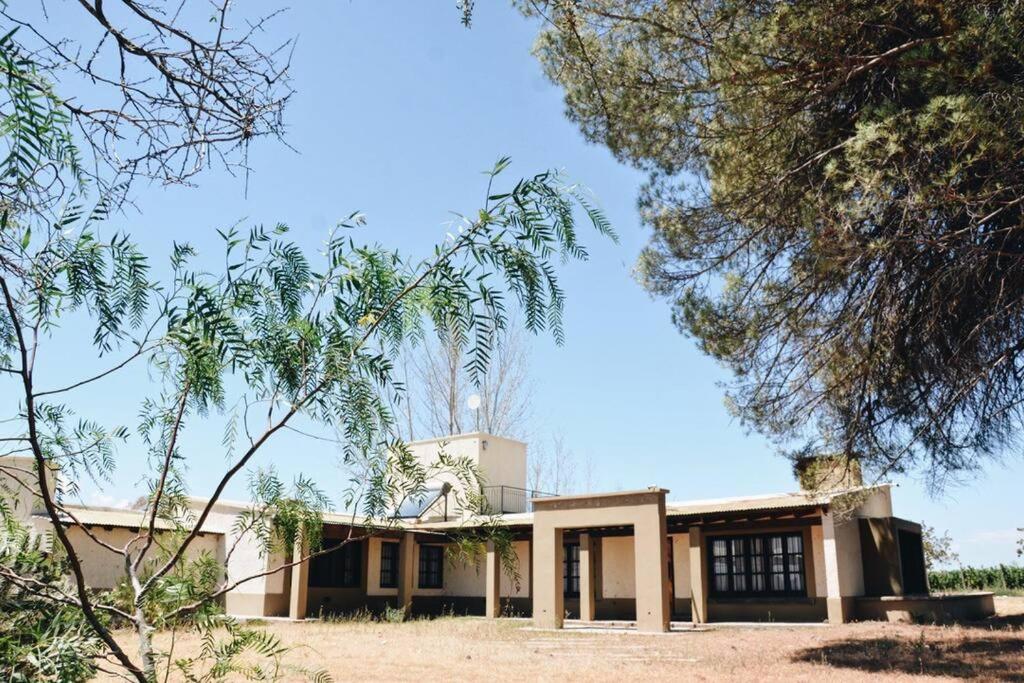 Casa entre viñas, Valle de Uco