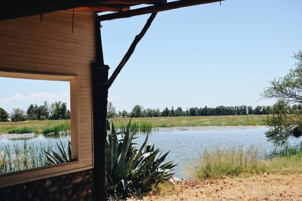 Casa entre viñas, Valle de Uco