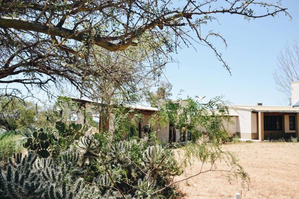 Casa entre viñas, Valle de Uco