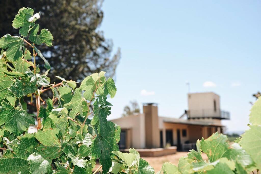 Casa entre viñas, Valle de Uco