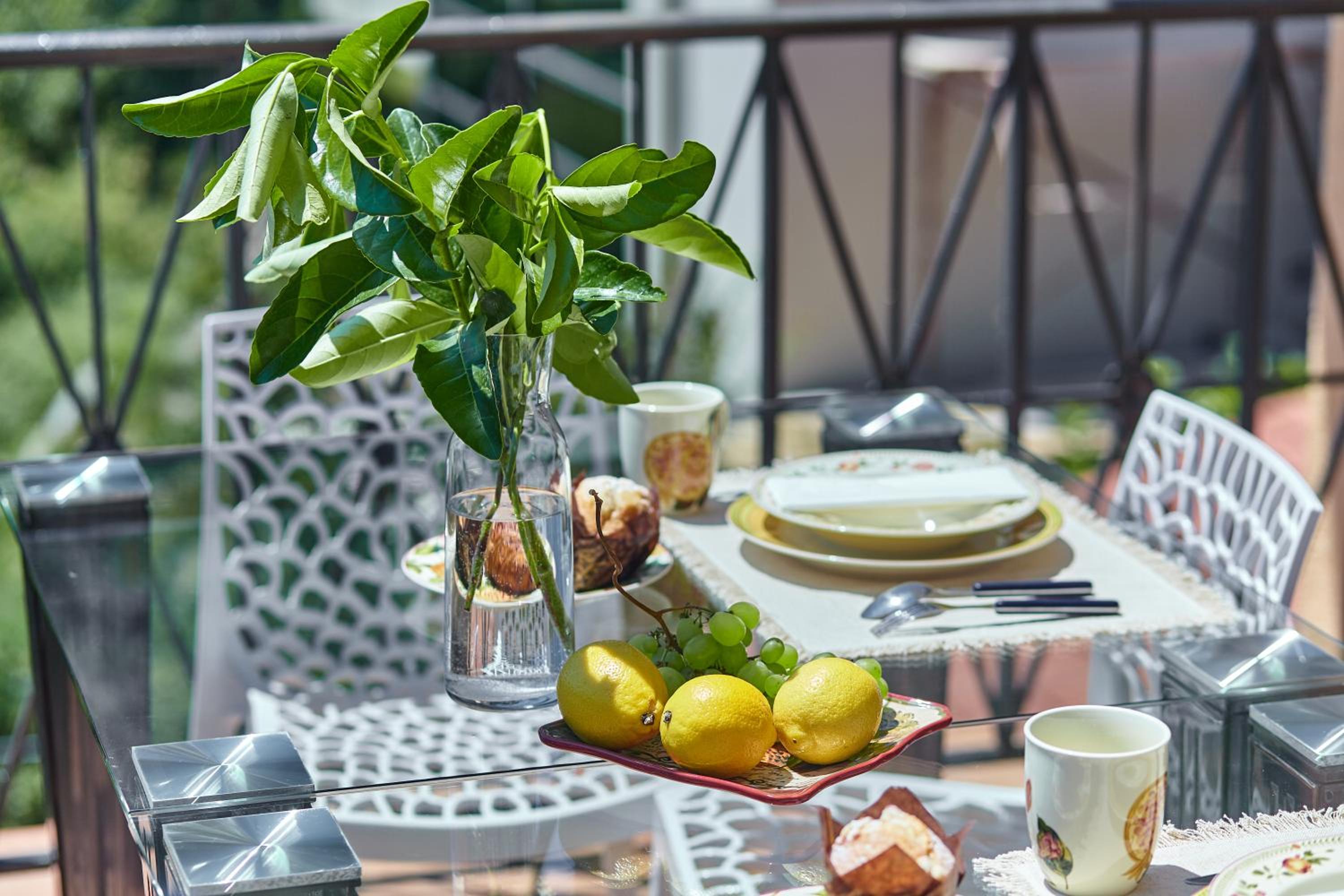 balance & terrace