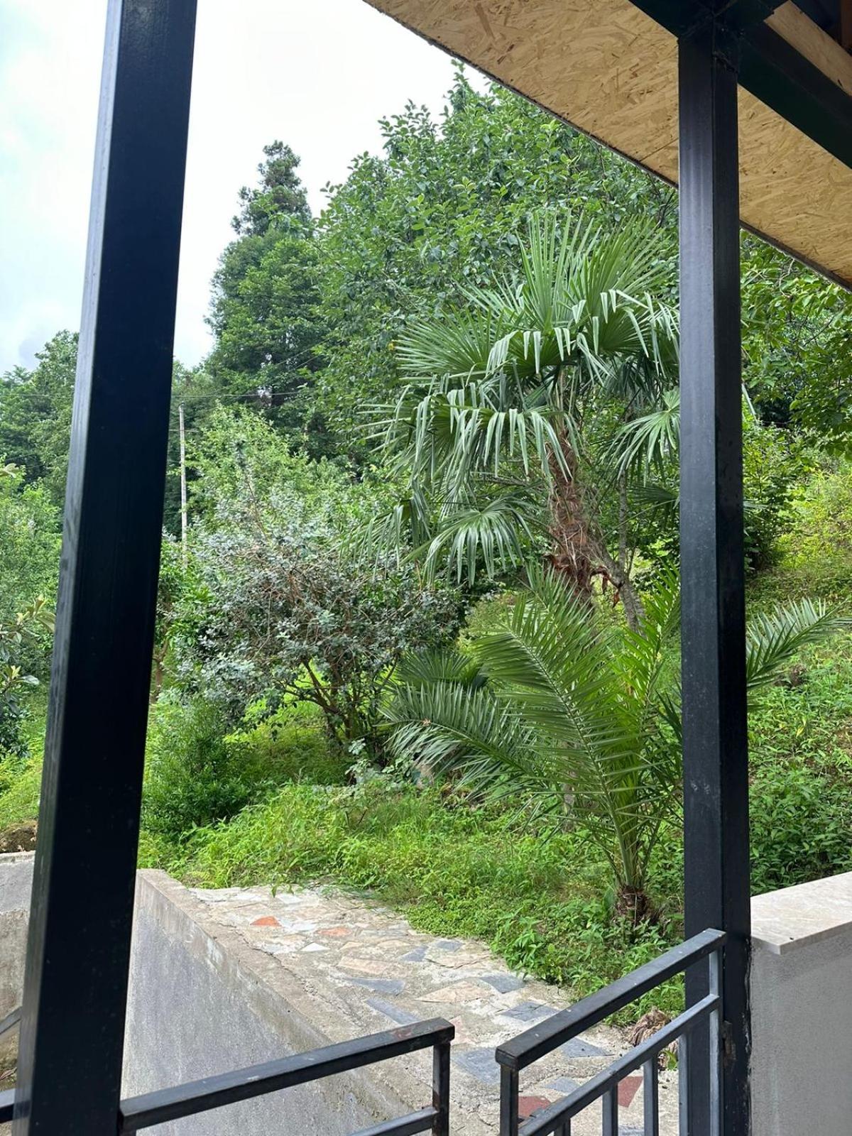 Shamil House