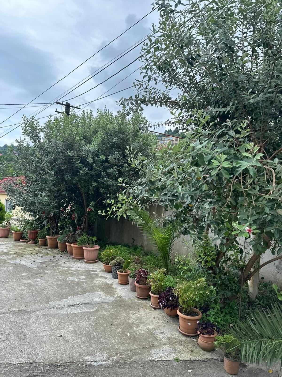 Shamil House