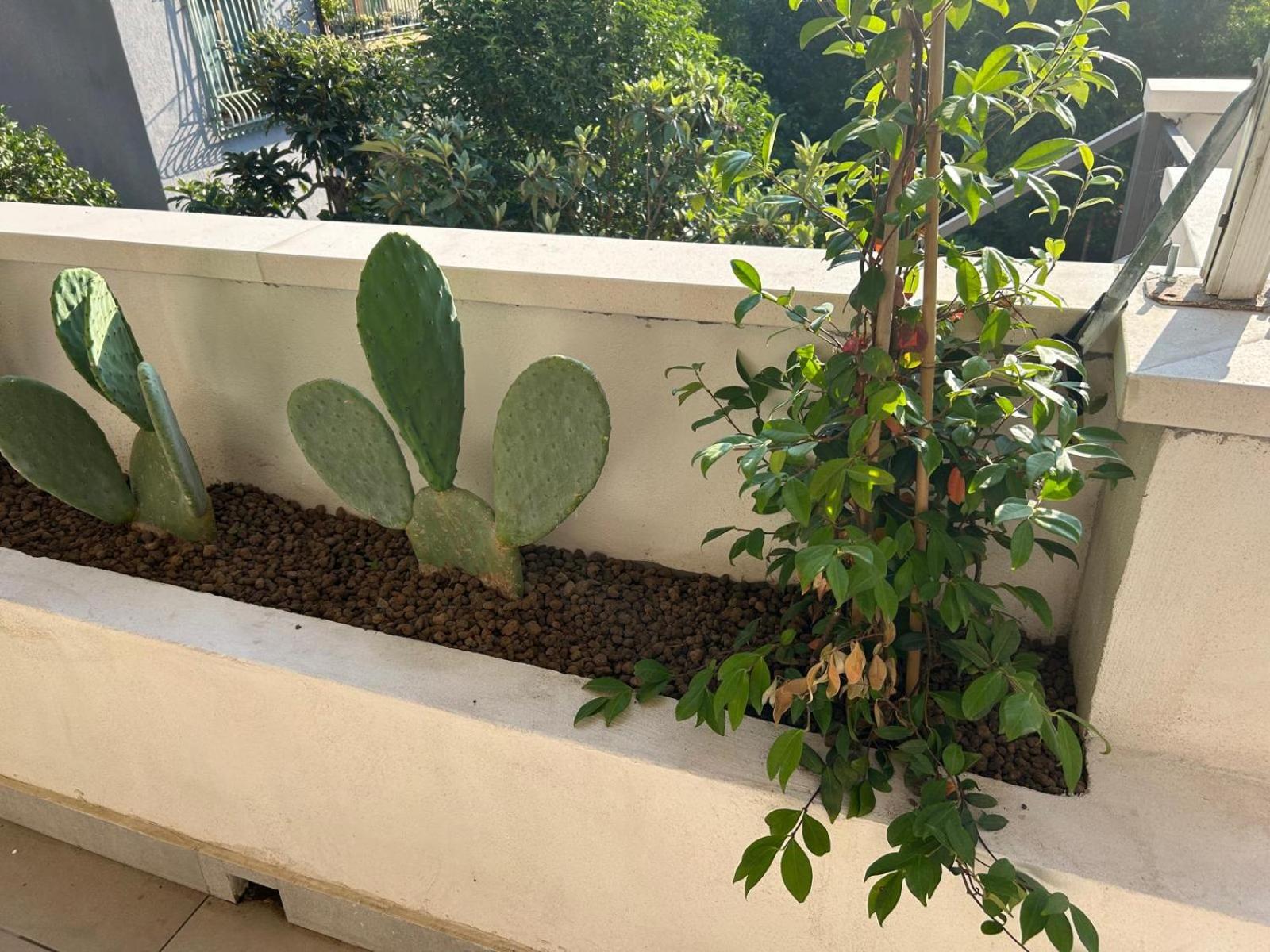 Tra Mare e Templi - Paestum photo 5