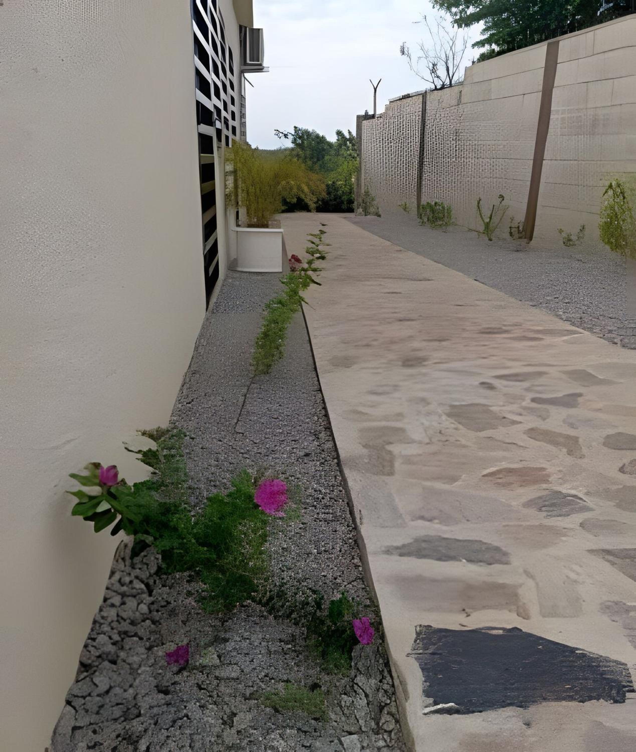 Photo 36