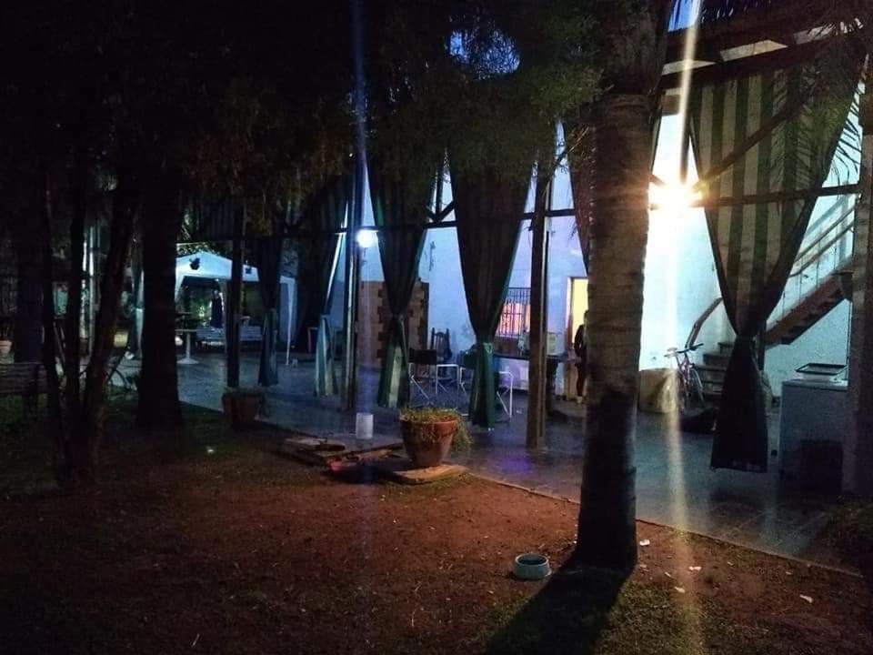 Las palmeras