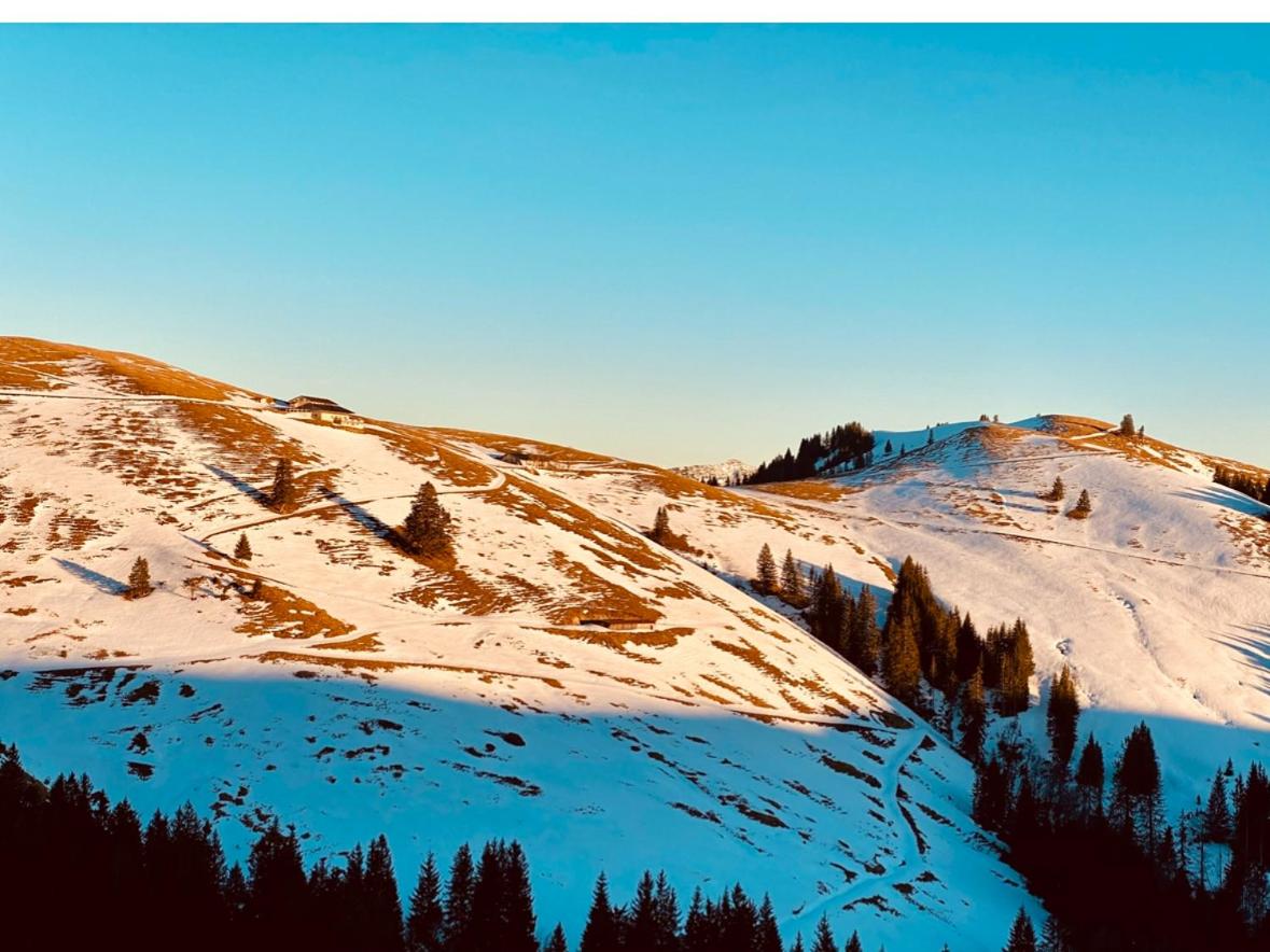Lochner Alm
