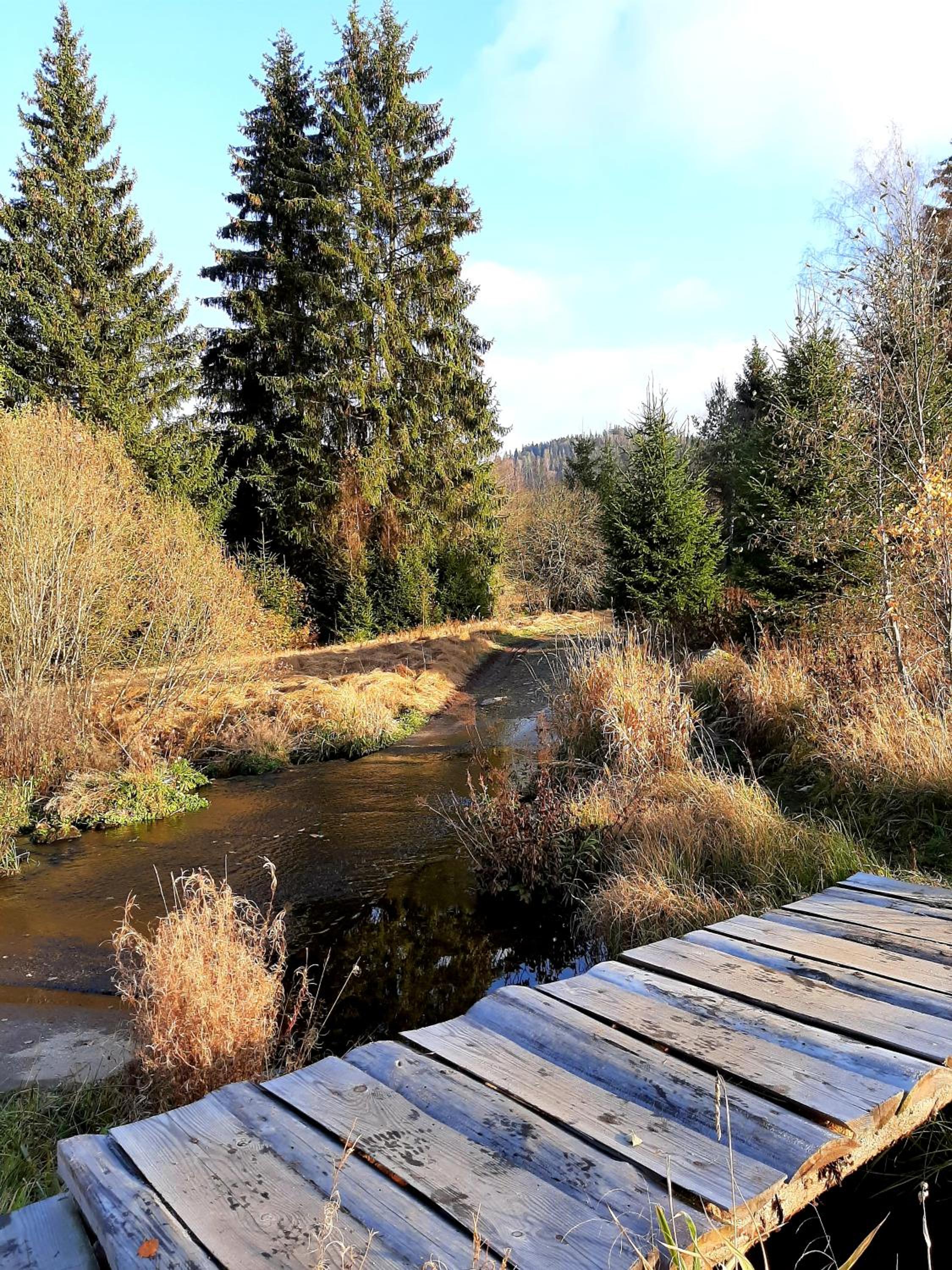 Prázdninový dům - Apartmány Vltavice