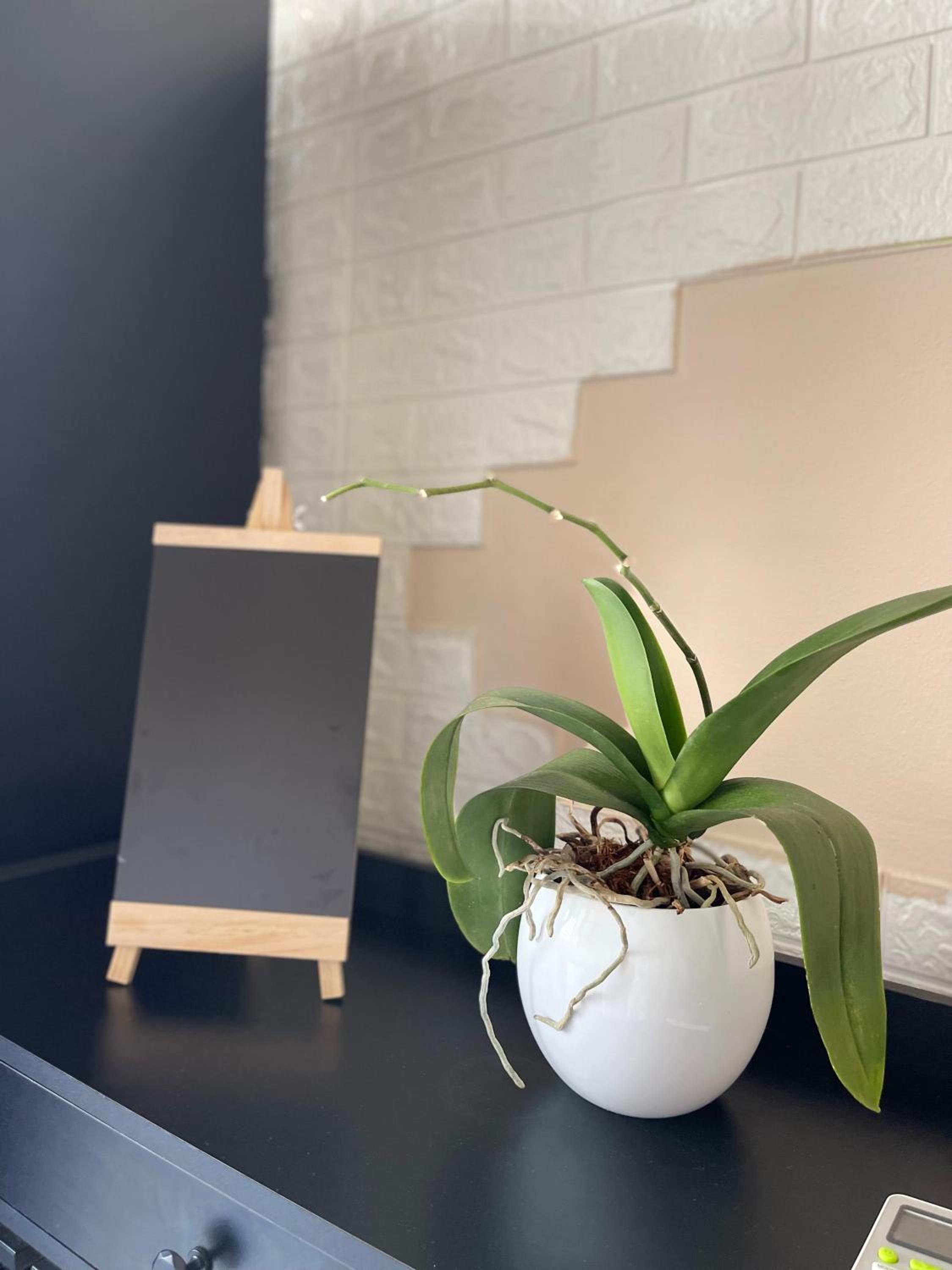 Edion Center Apartment