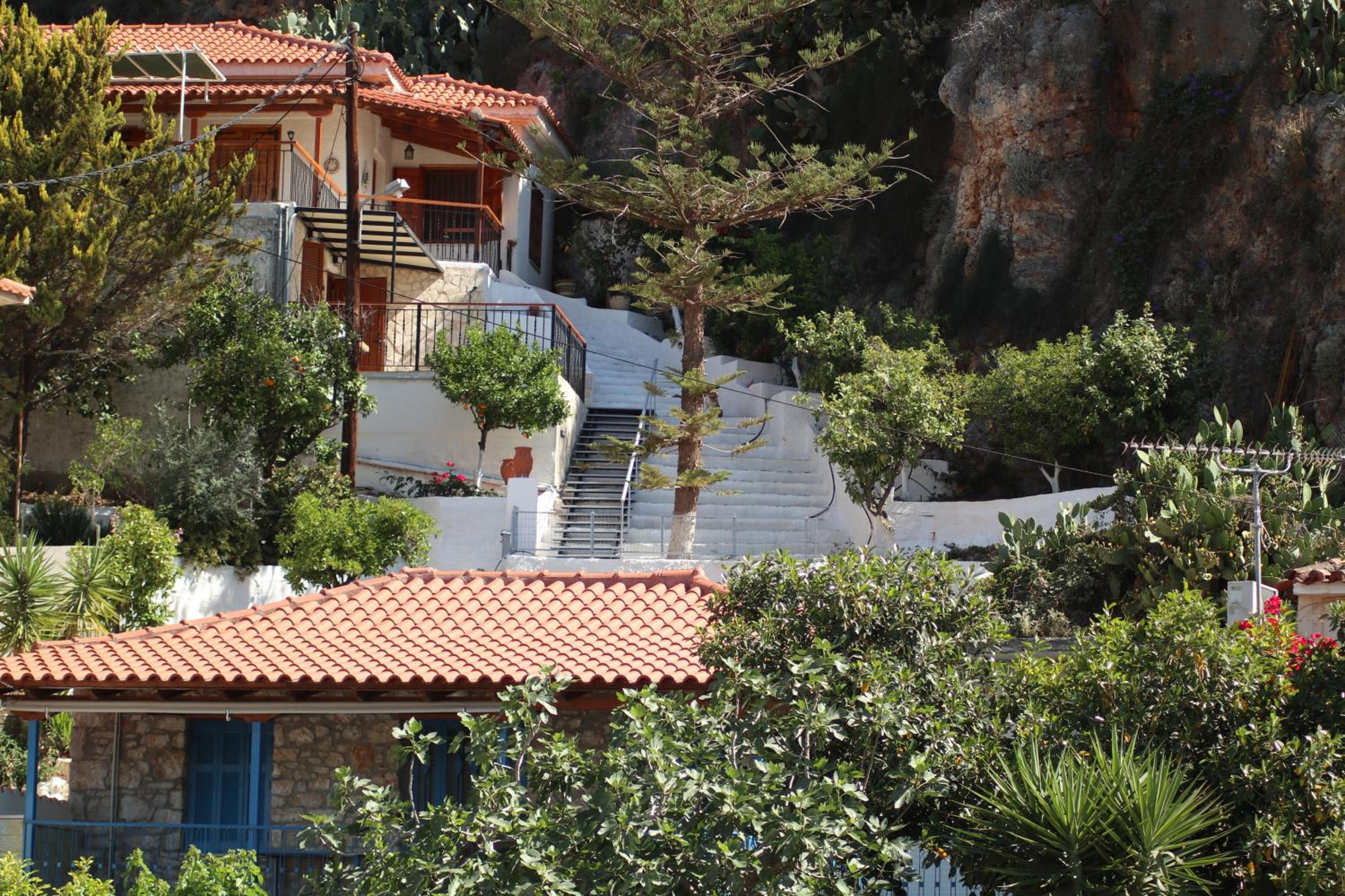 Arokaria Studio