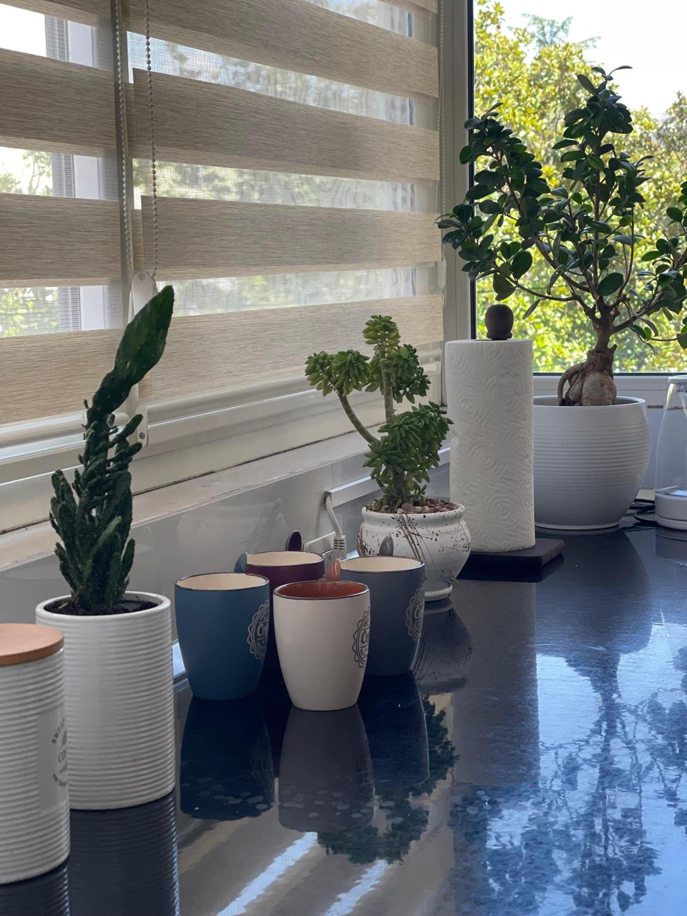 Edion Center Apartment