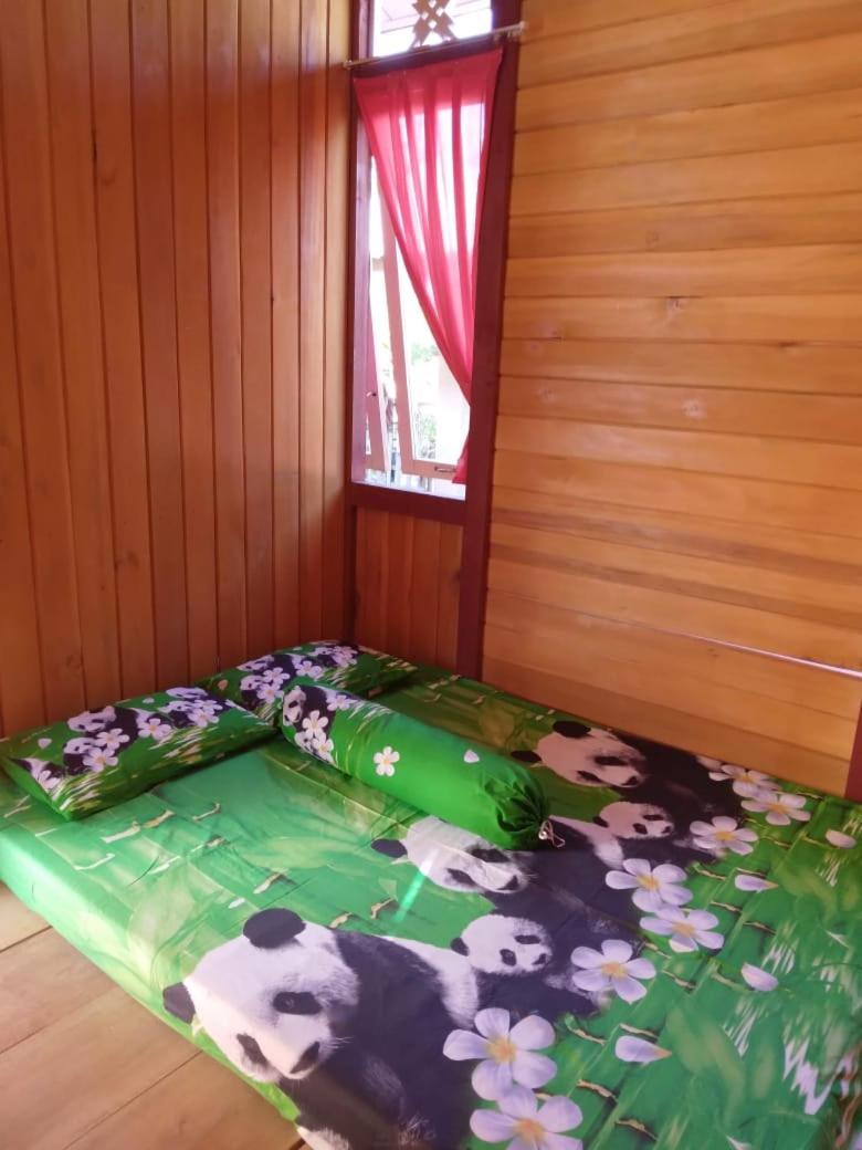 Tiger fish homestay view 3