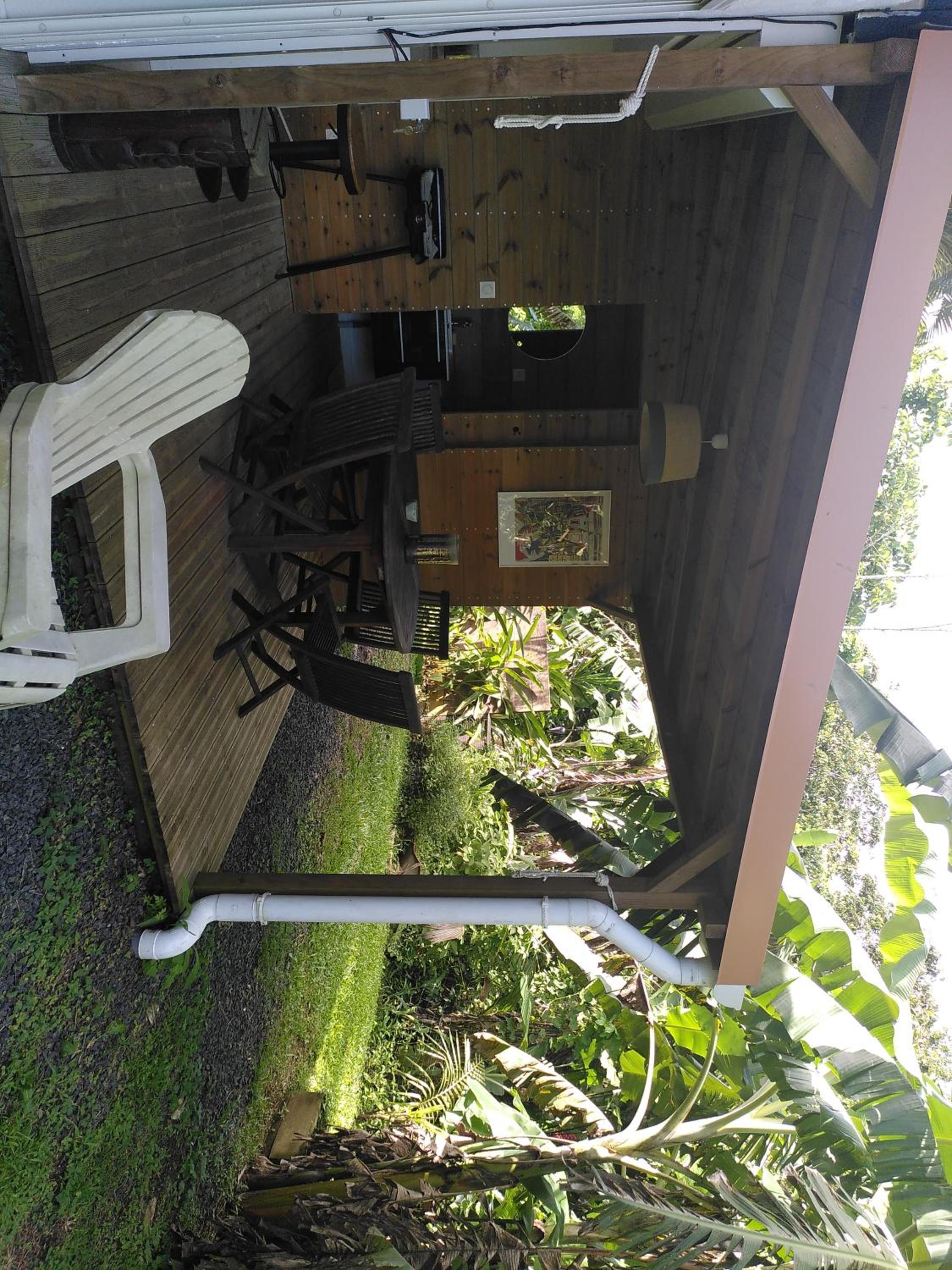 Studio dans la forêt tropicale view 4