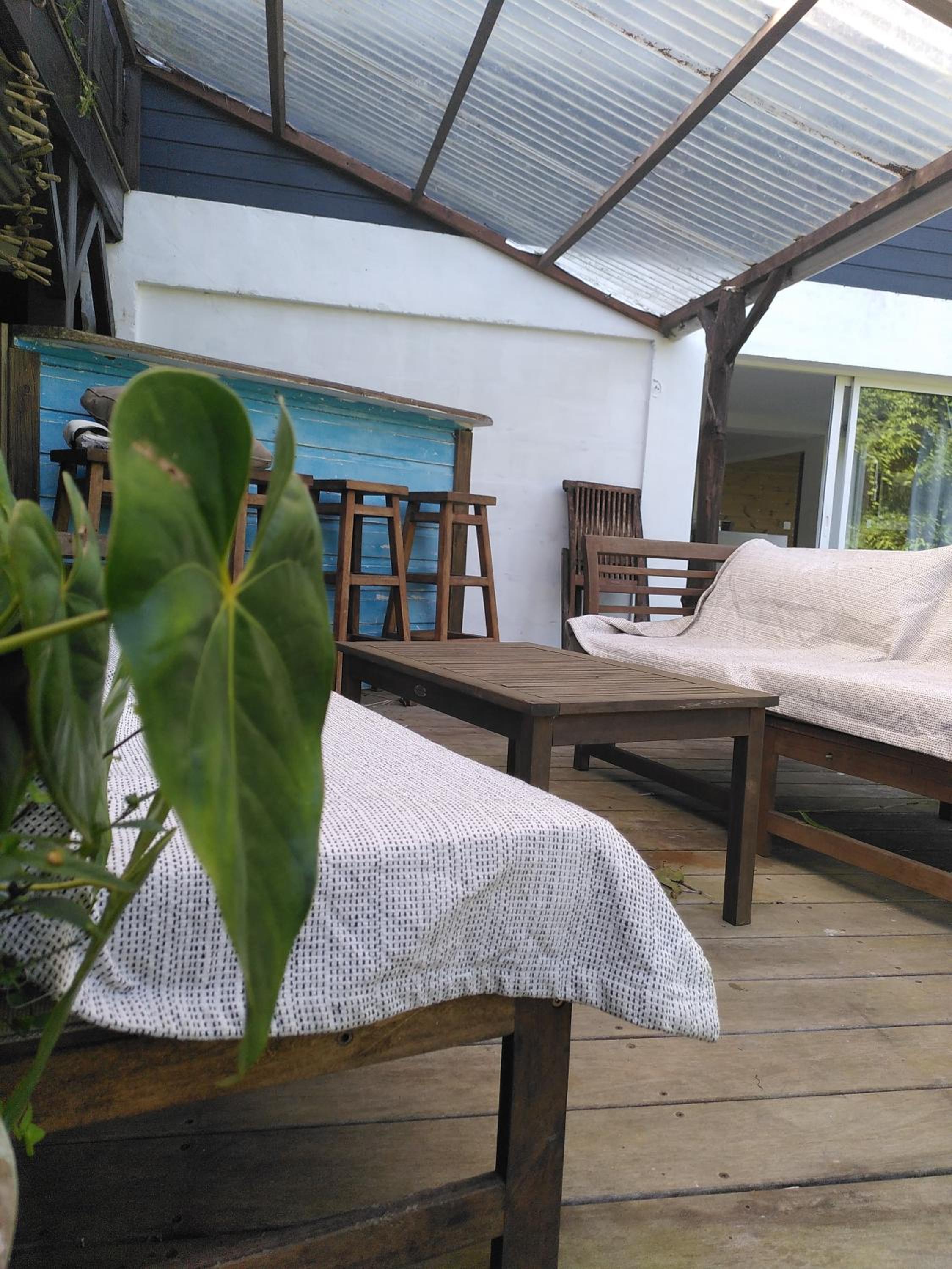 Studio dans la forêt tropicale view 5