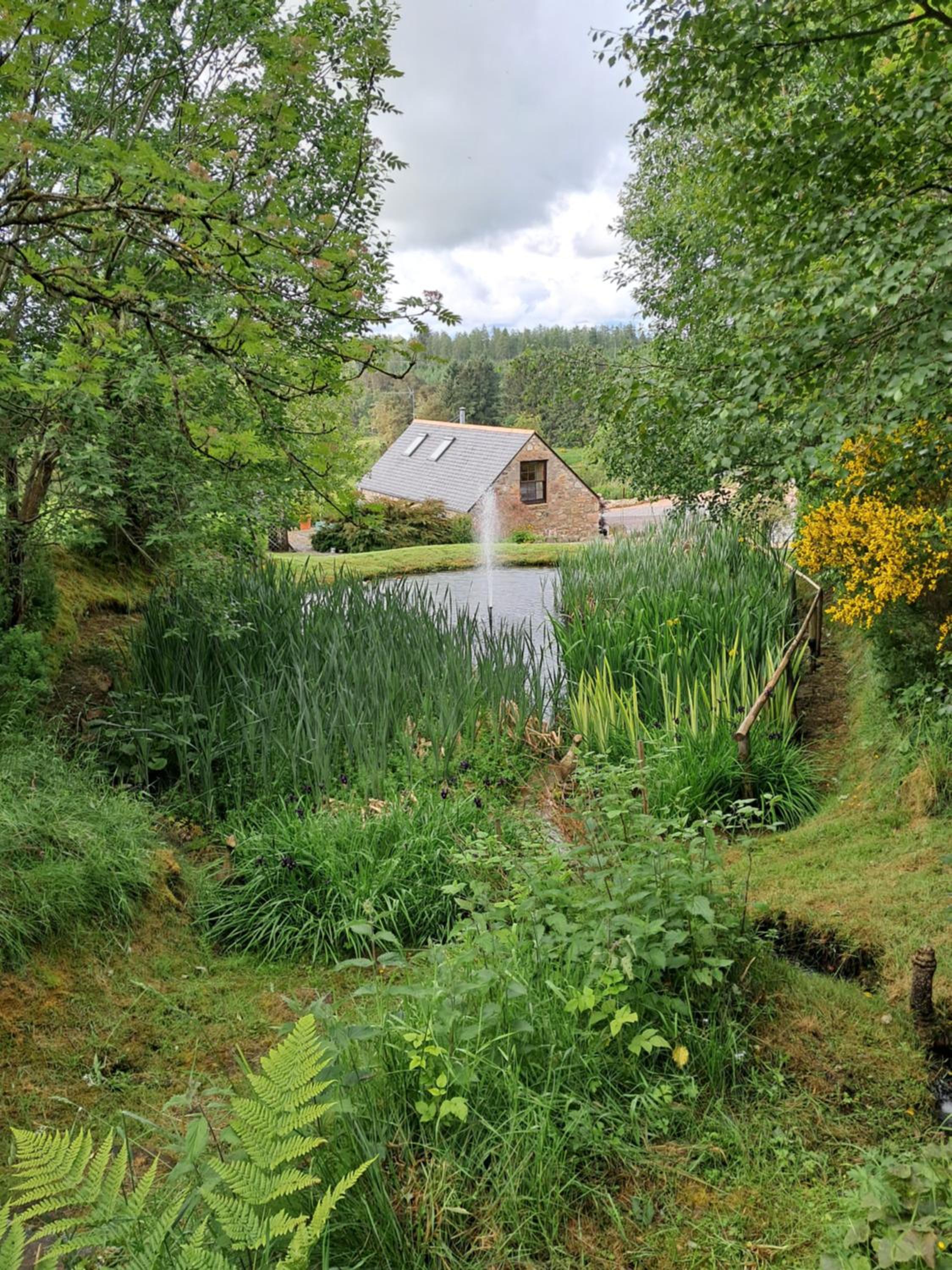 Boghead Cottage: Holiday Cottage in Royal Deeside view 3