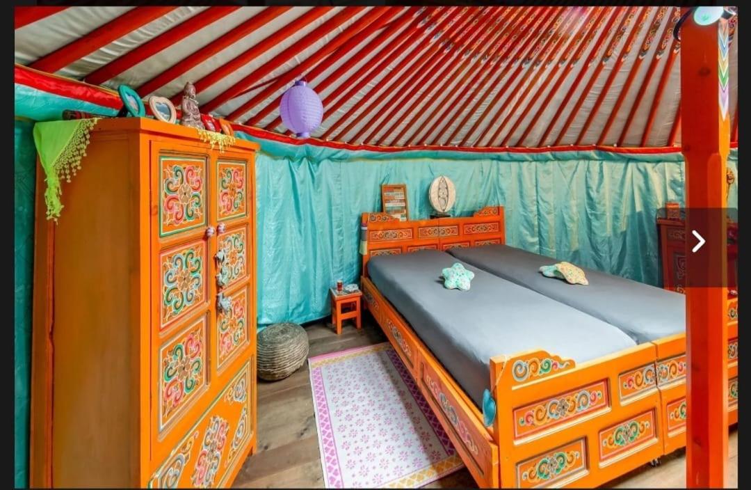 Yourte Mongole et cabane
