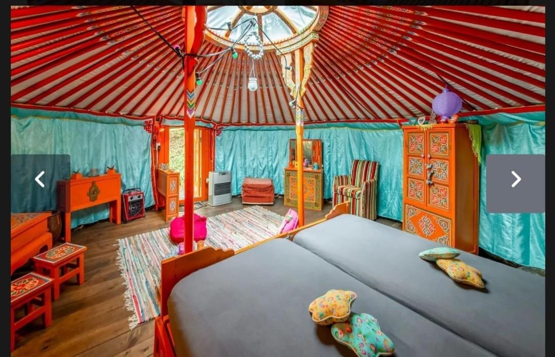 Yourte Mongole et cabane