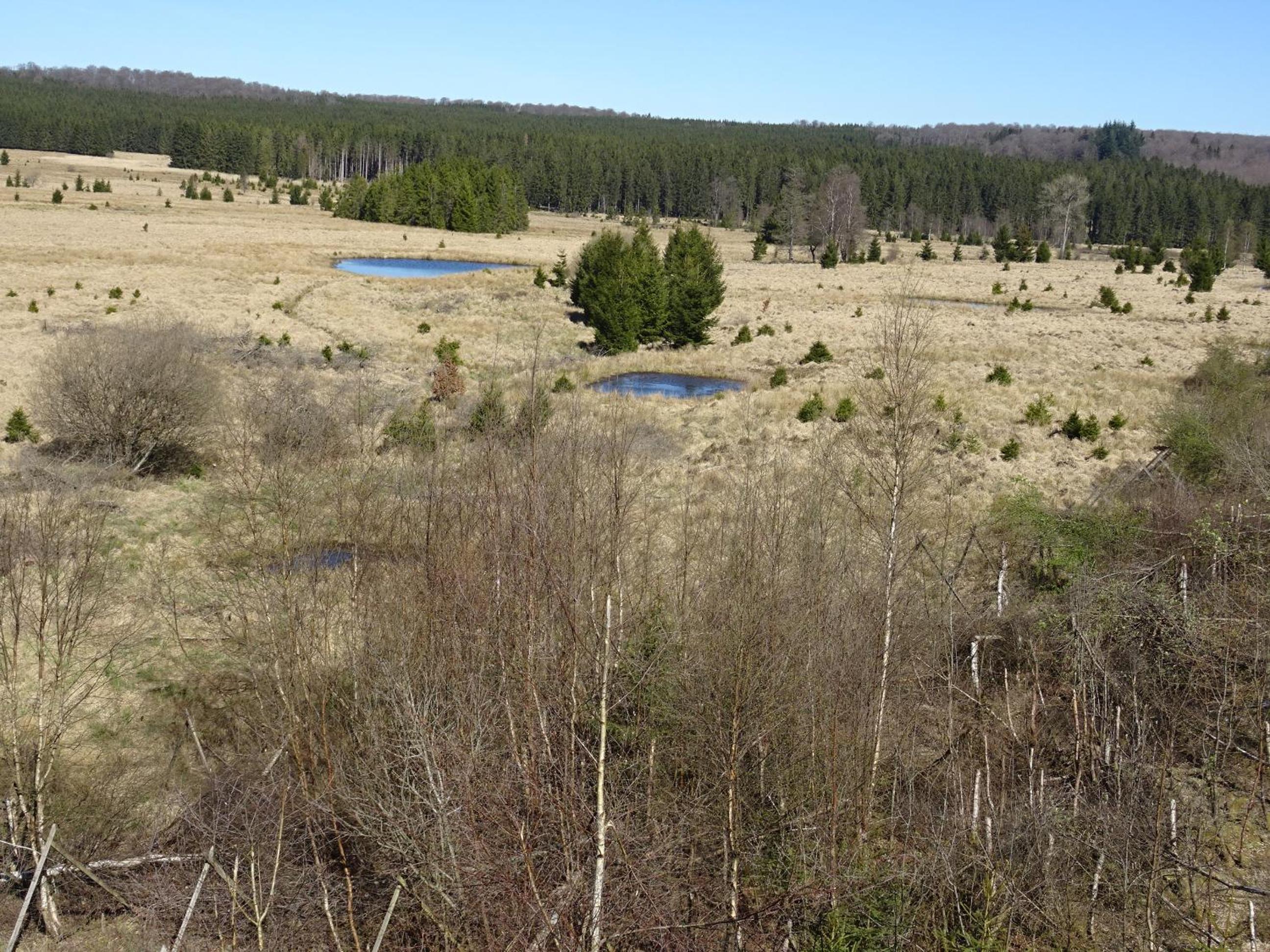 Gîtes Les LHOMMALINNES