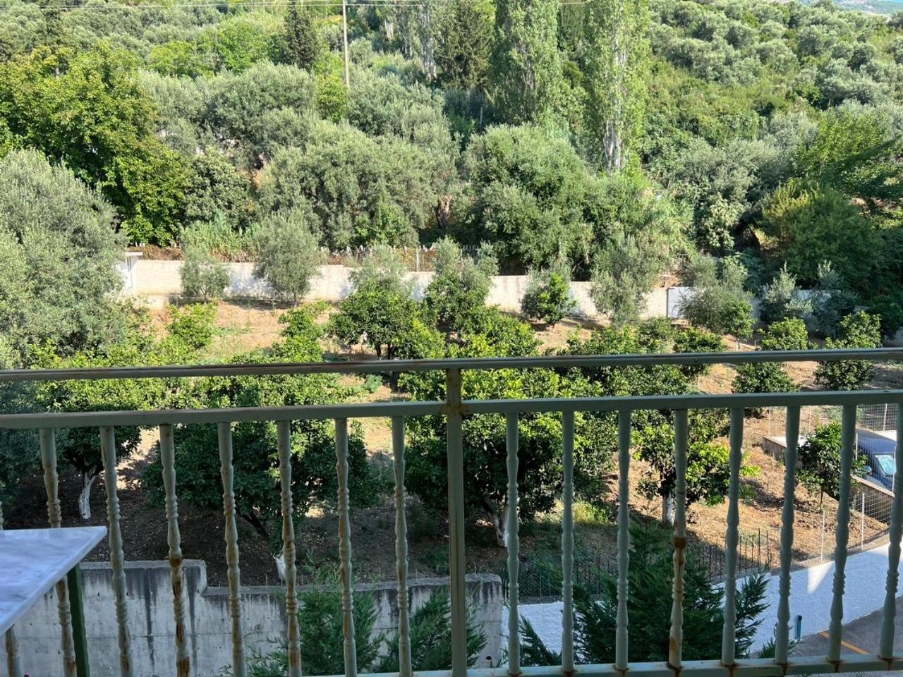 Alma's Apartments at Residence