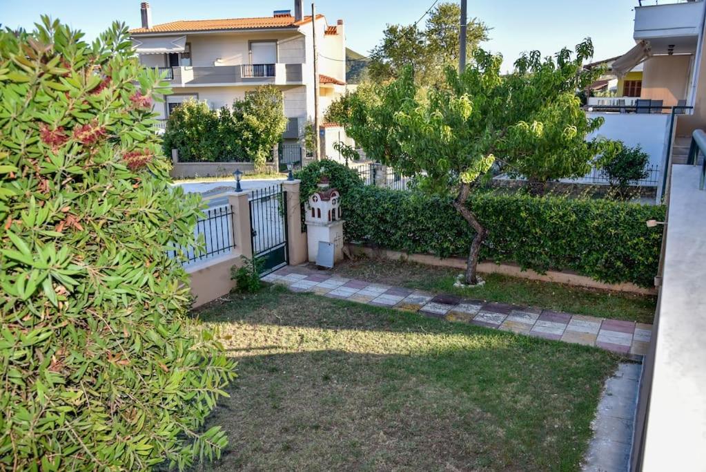 Sunny Apartment