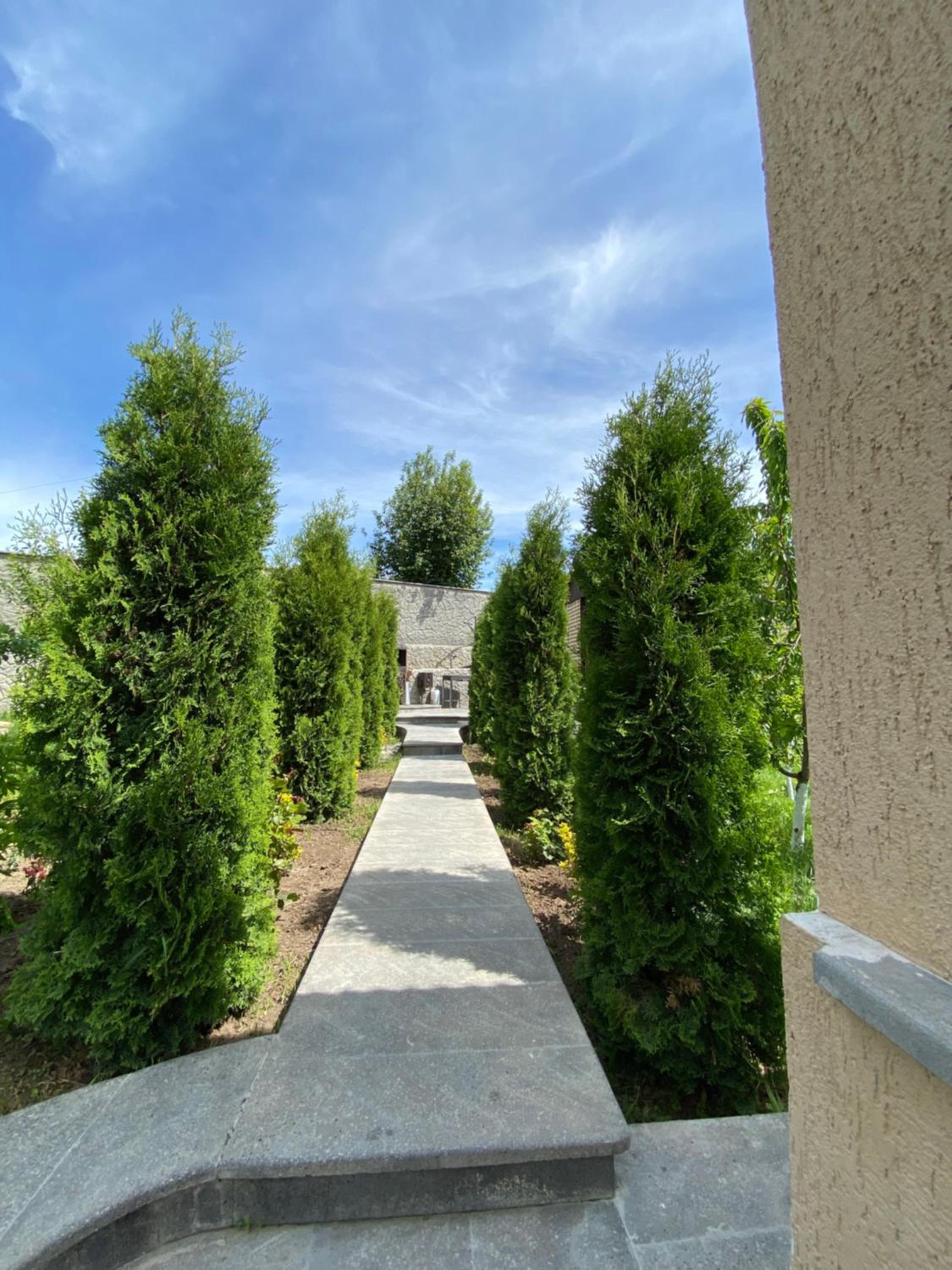 Green Garden