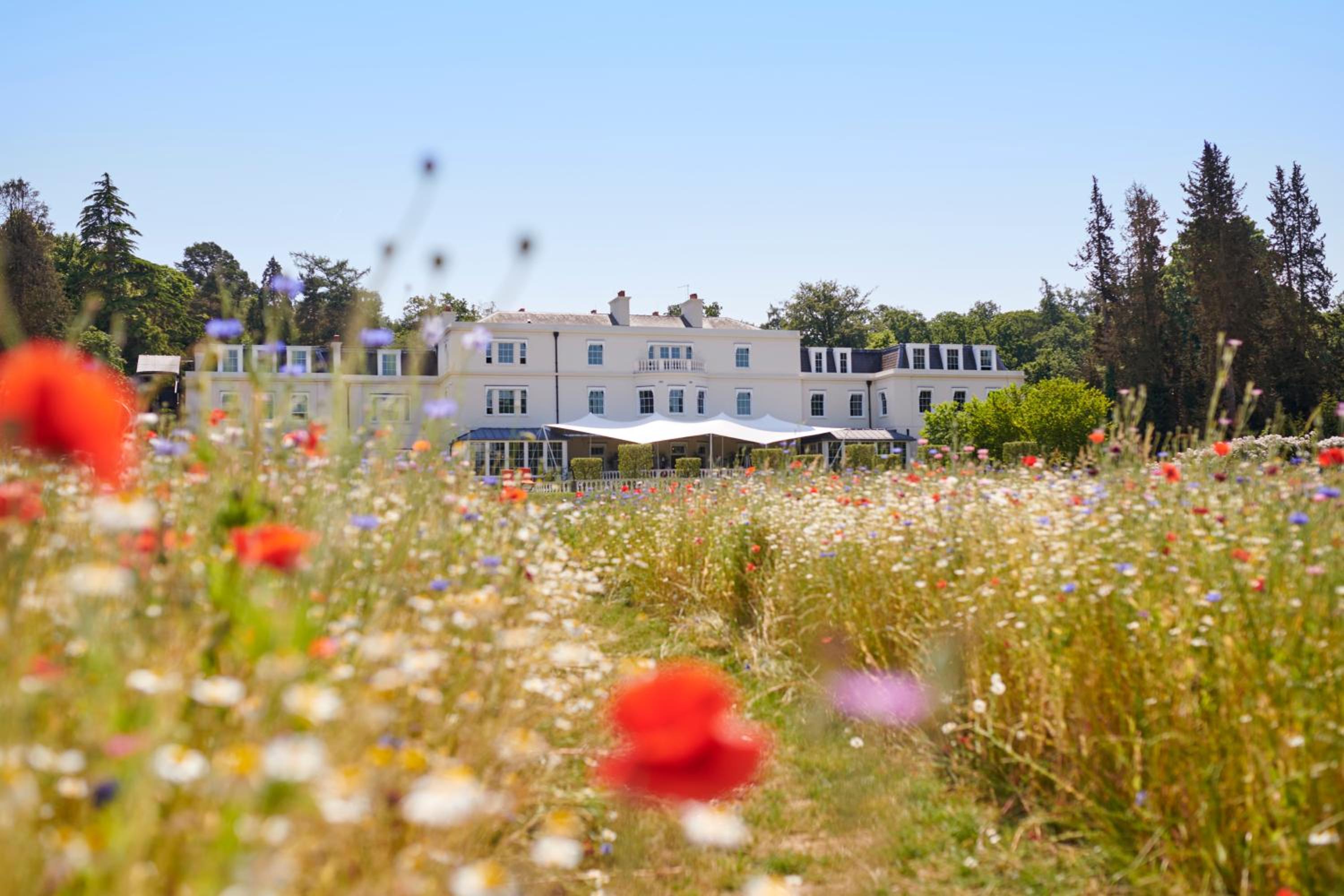 Coworth Park - Dorchester Collection 4