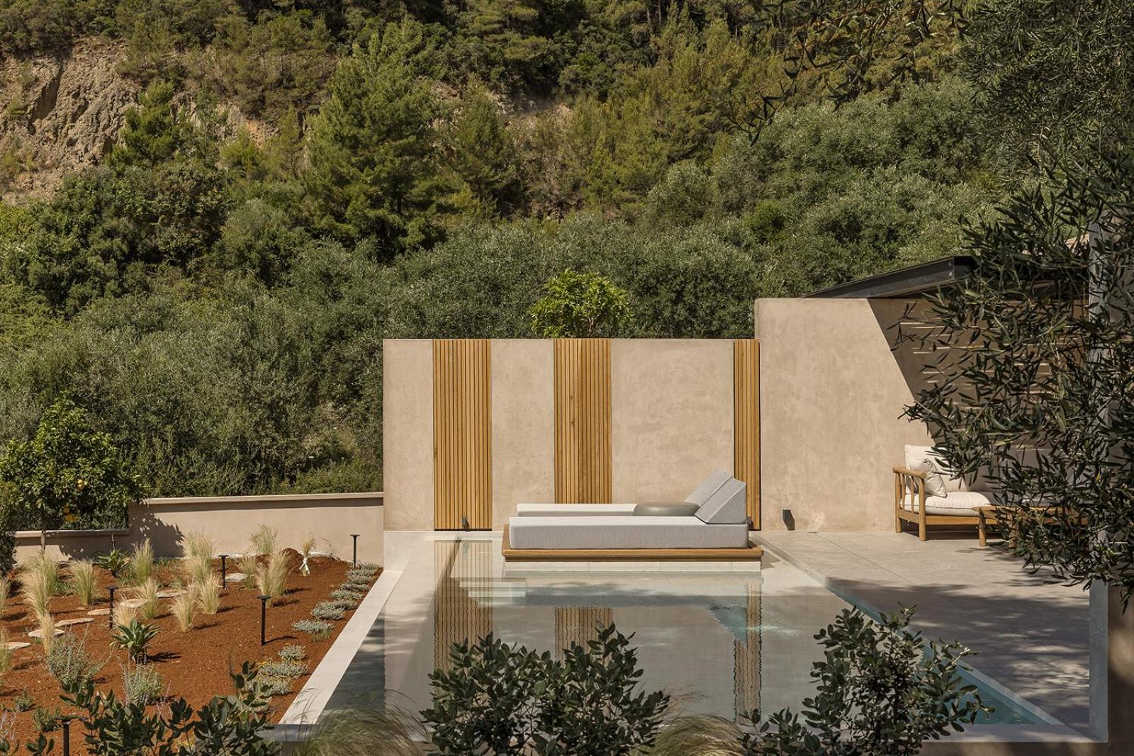 Monalia suites