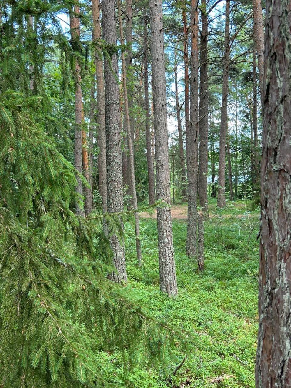 Gästhuset Nagu Paradiset