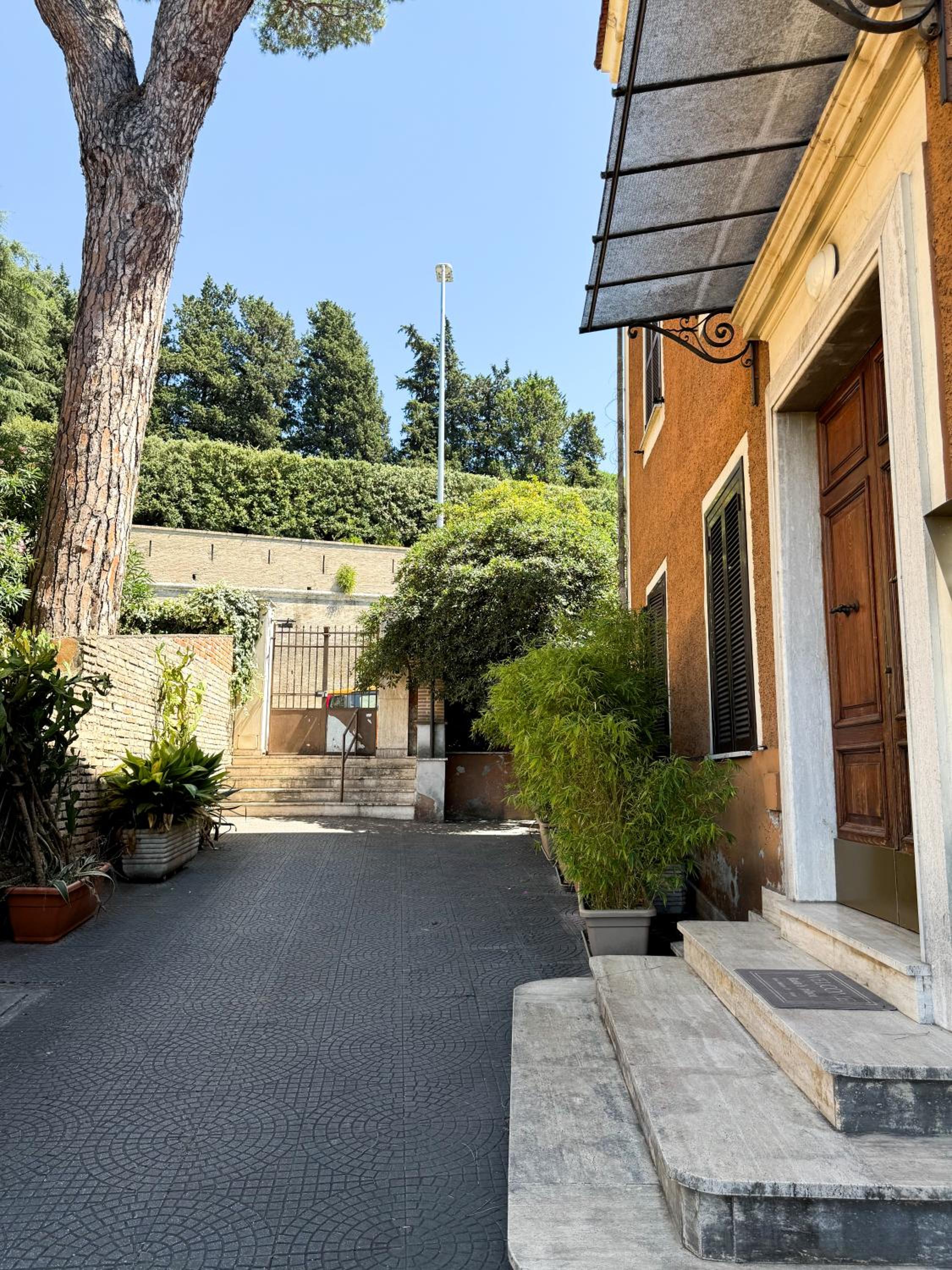 new apartment - vatican viola photo 4