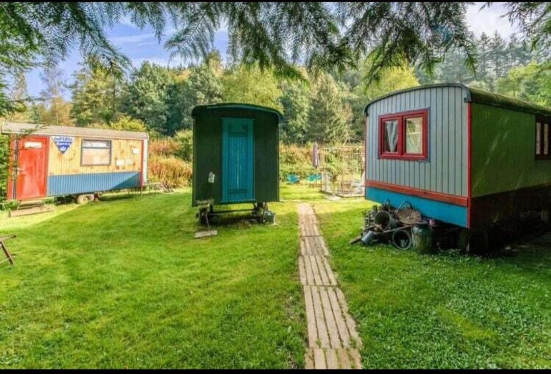 Camp de roulottes
