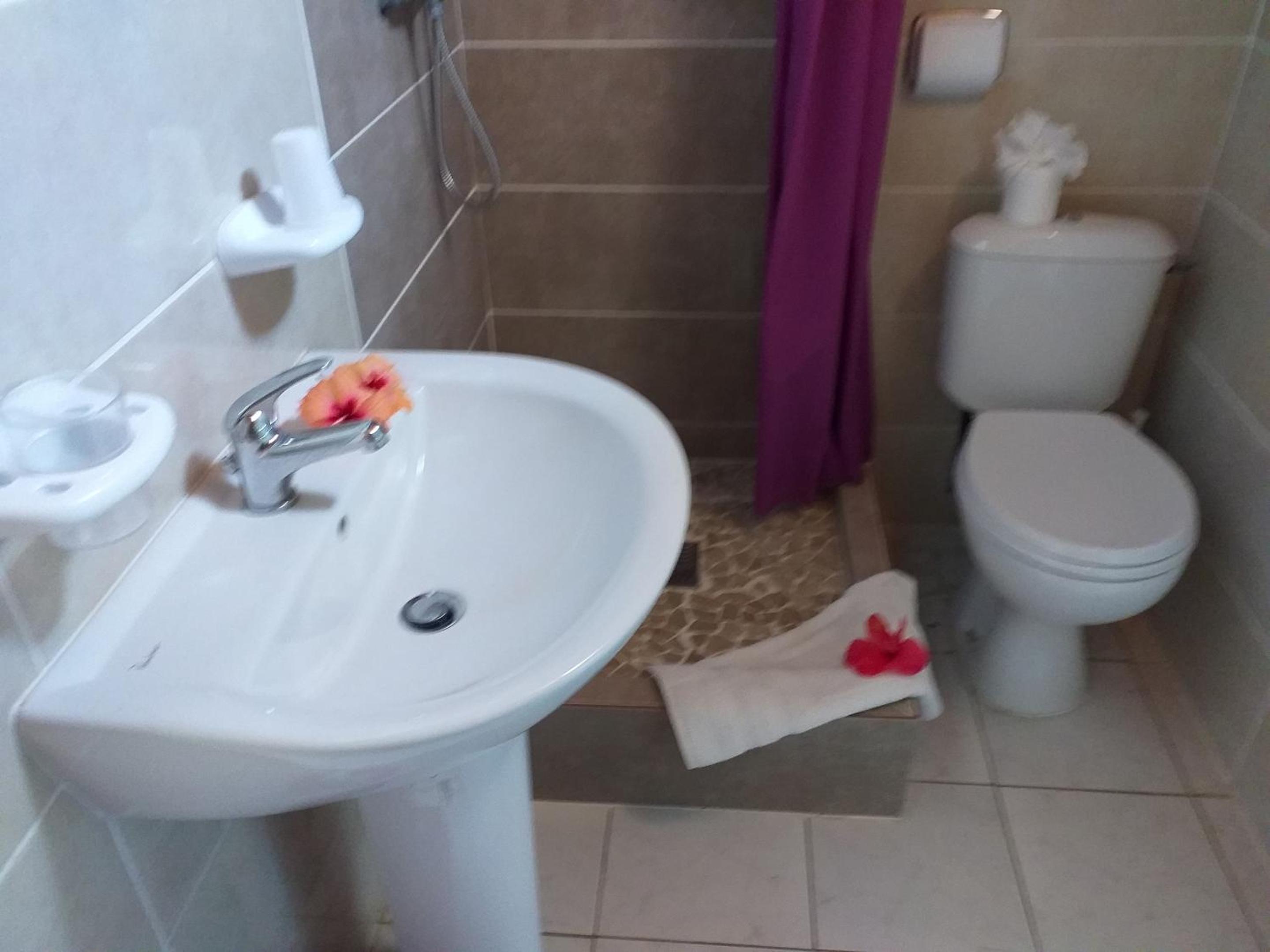 Studio charmant à Sainte-Anne avec piscine partagée - 30 m² view 3